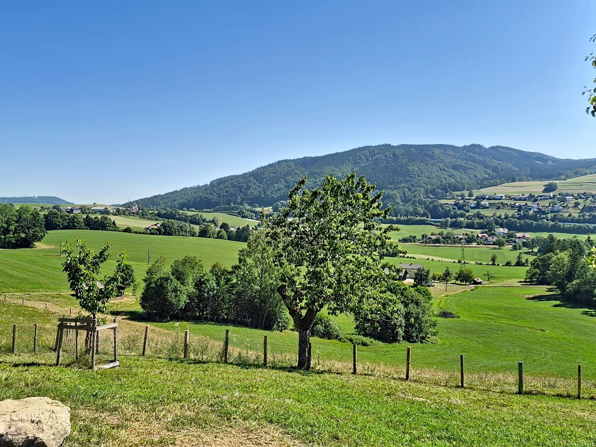 View