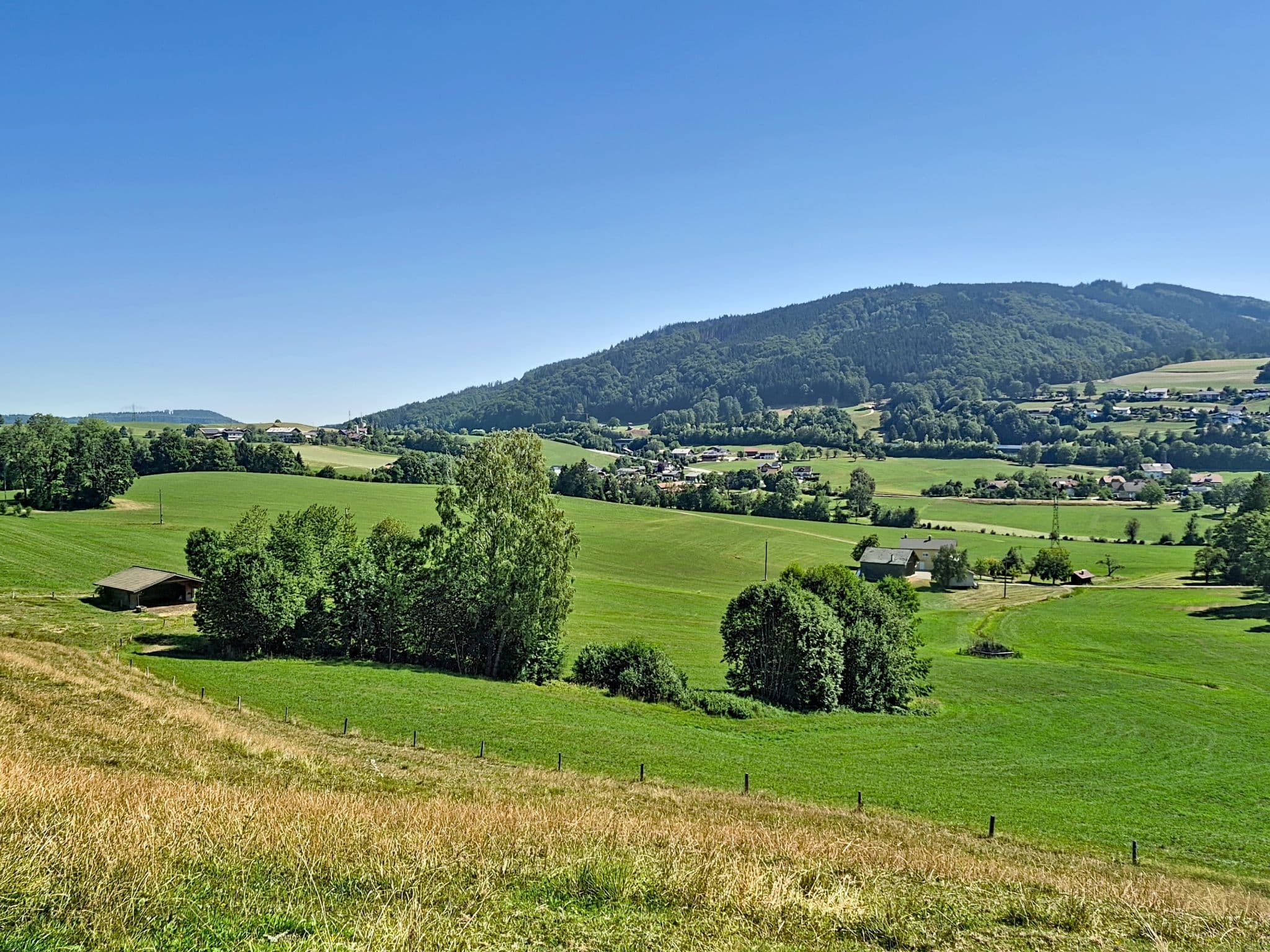 View