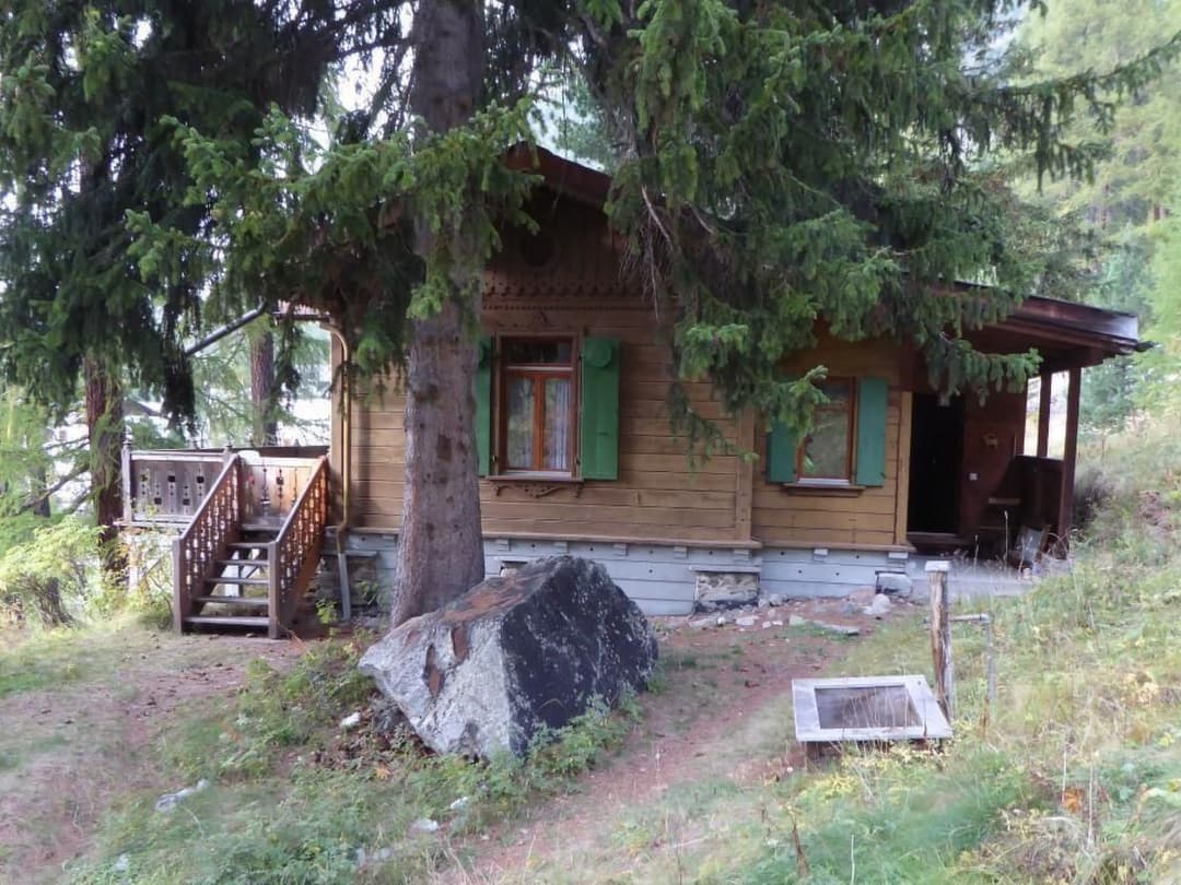 Large Image