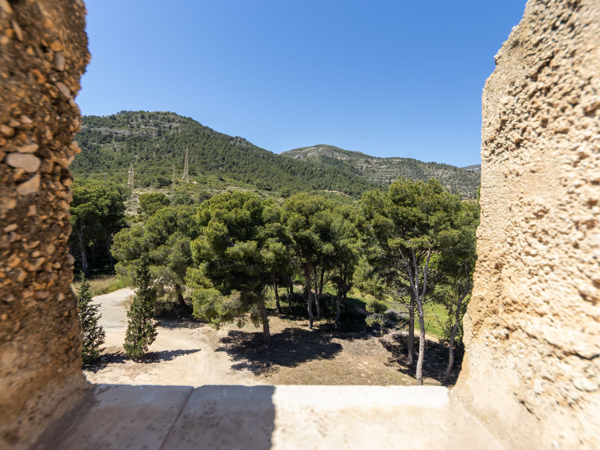 View