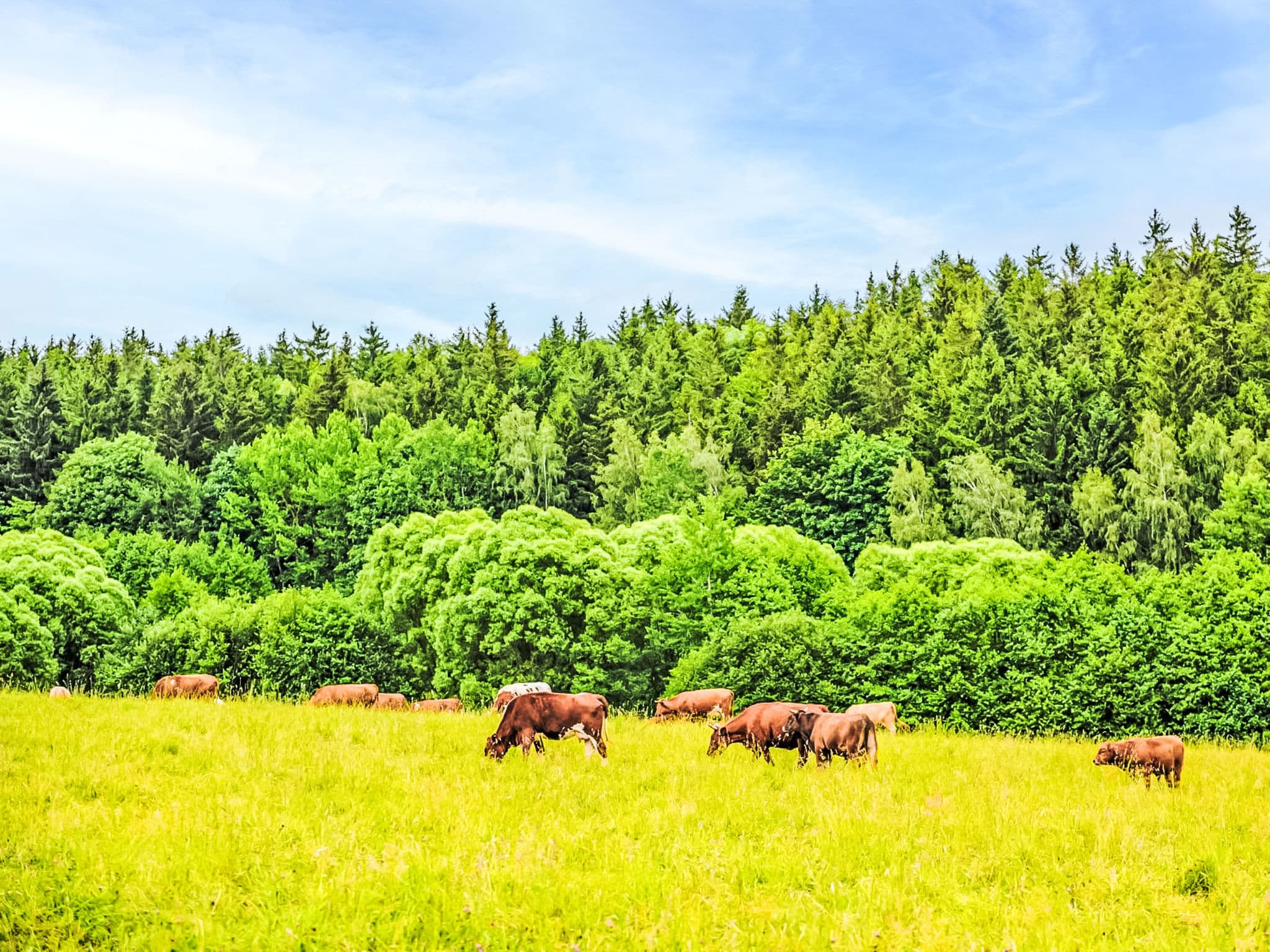 Place
