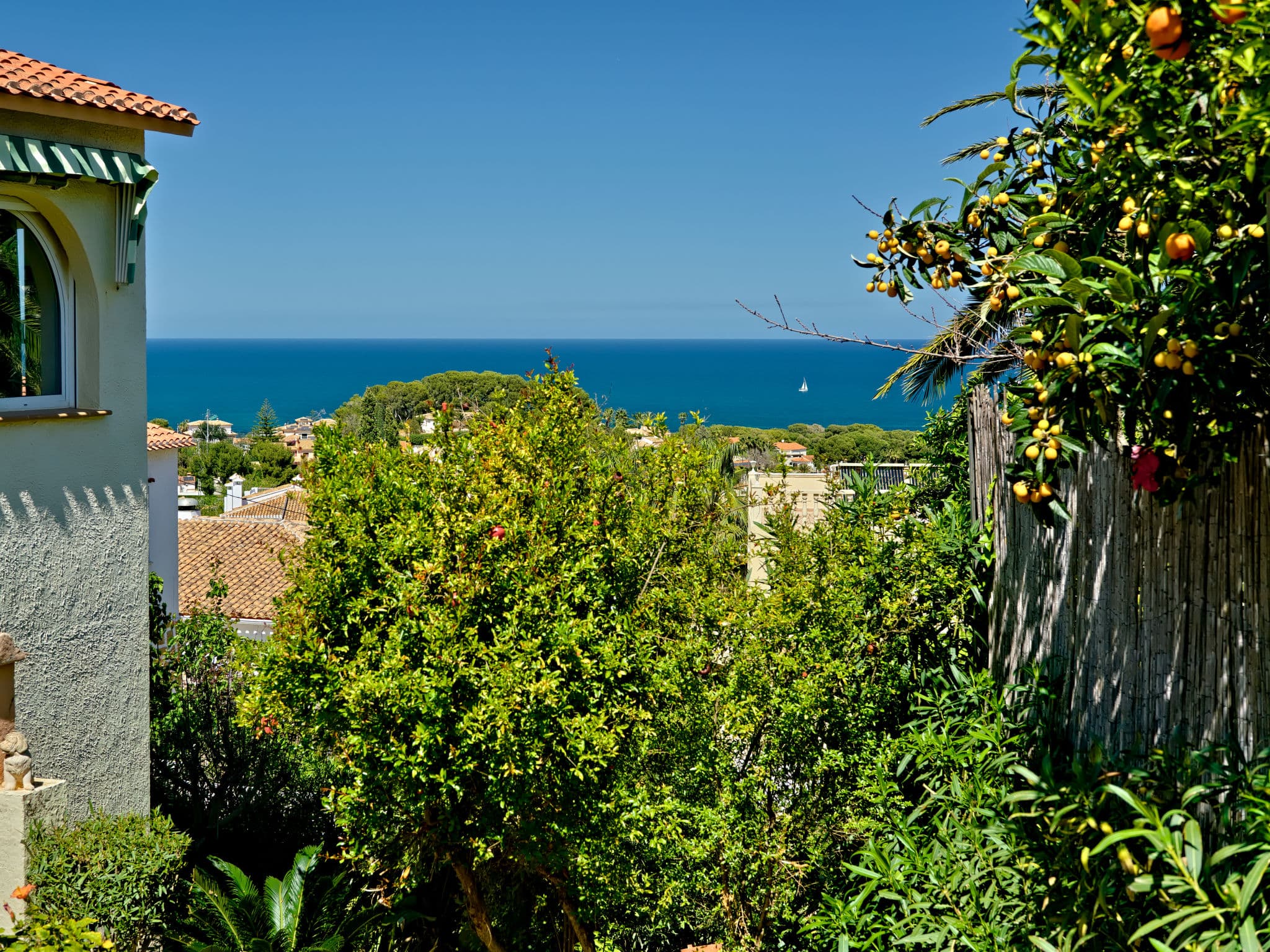 View