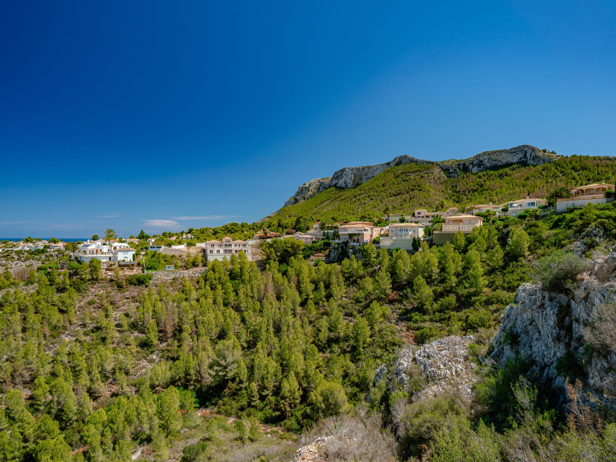 View