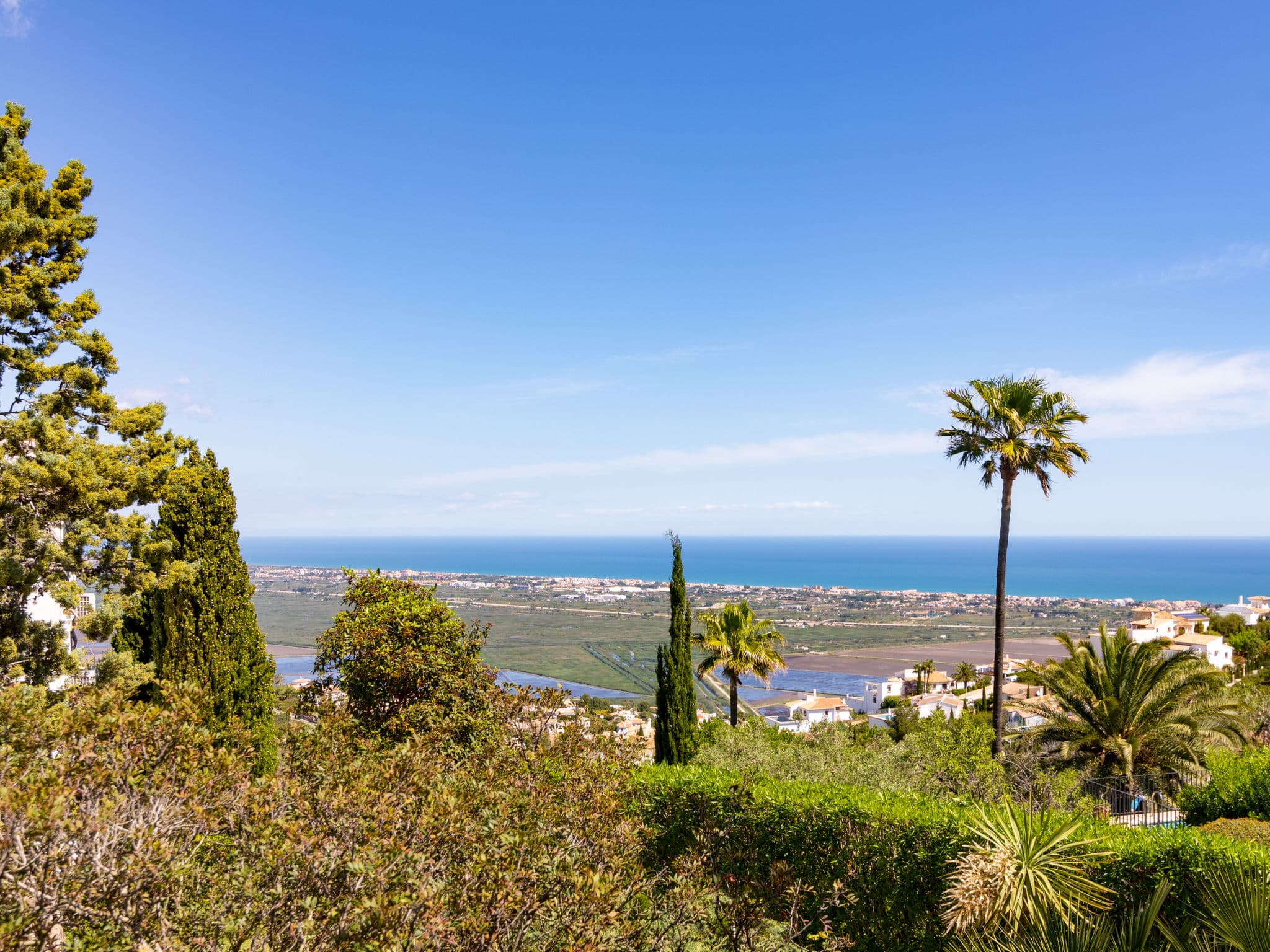 View