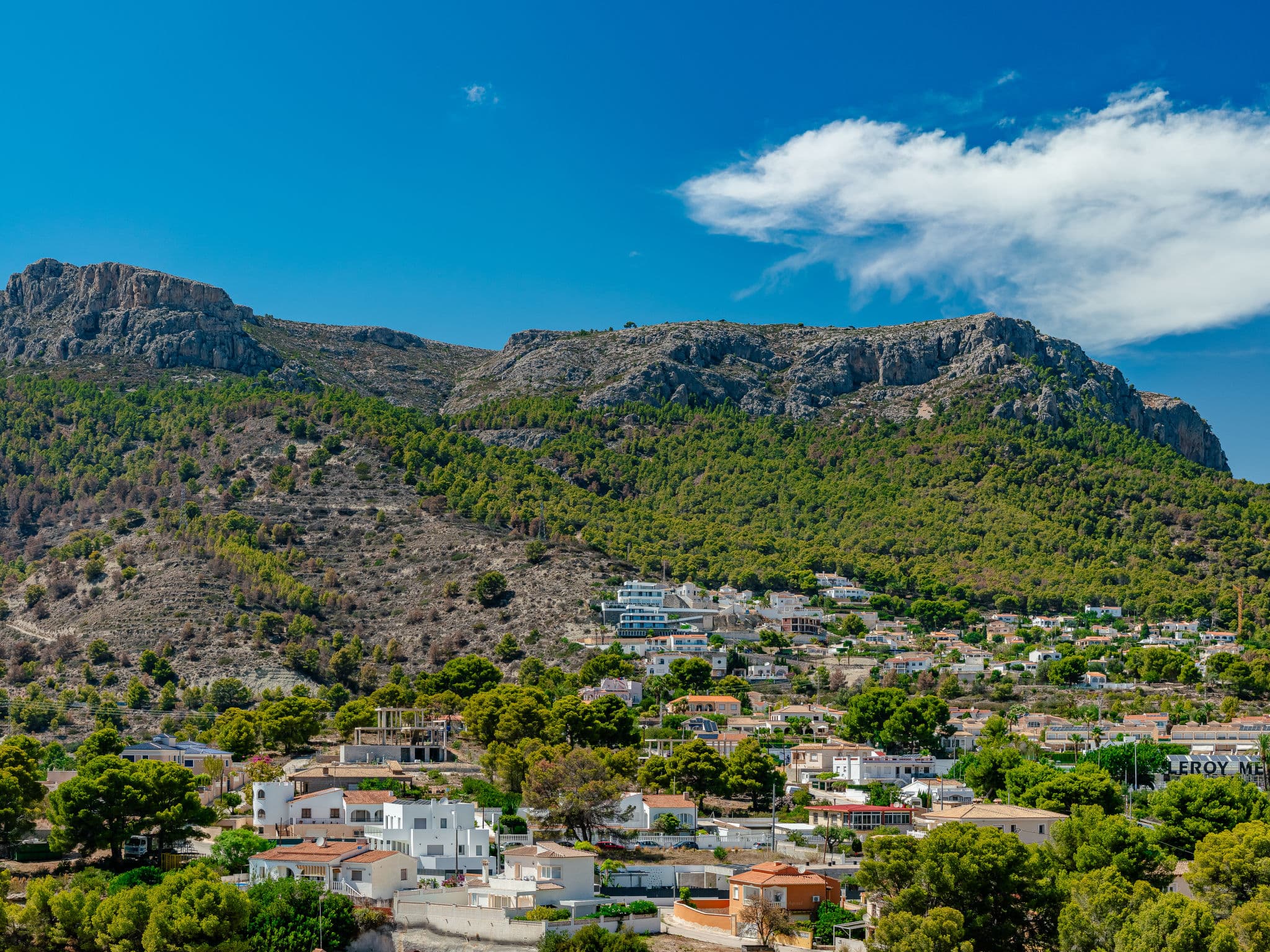 View