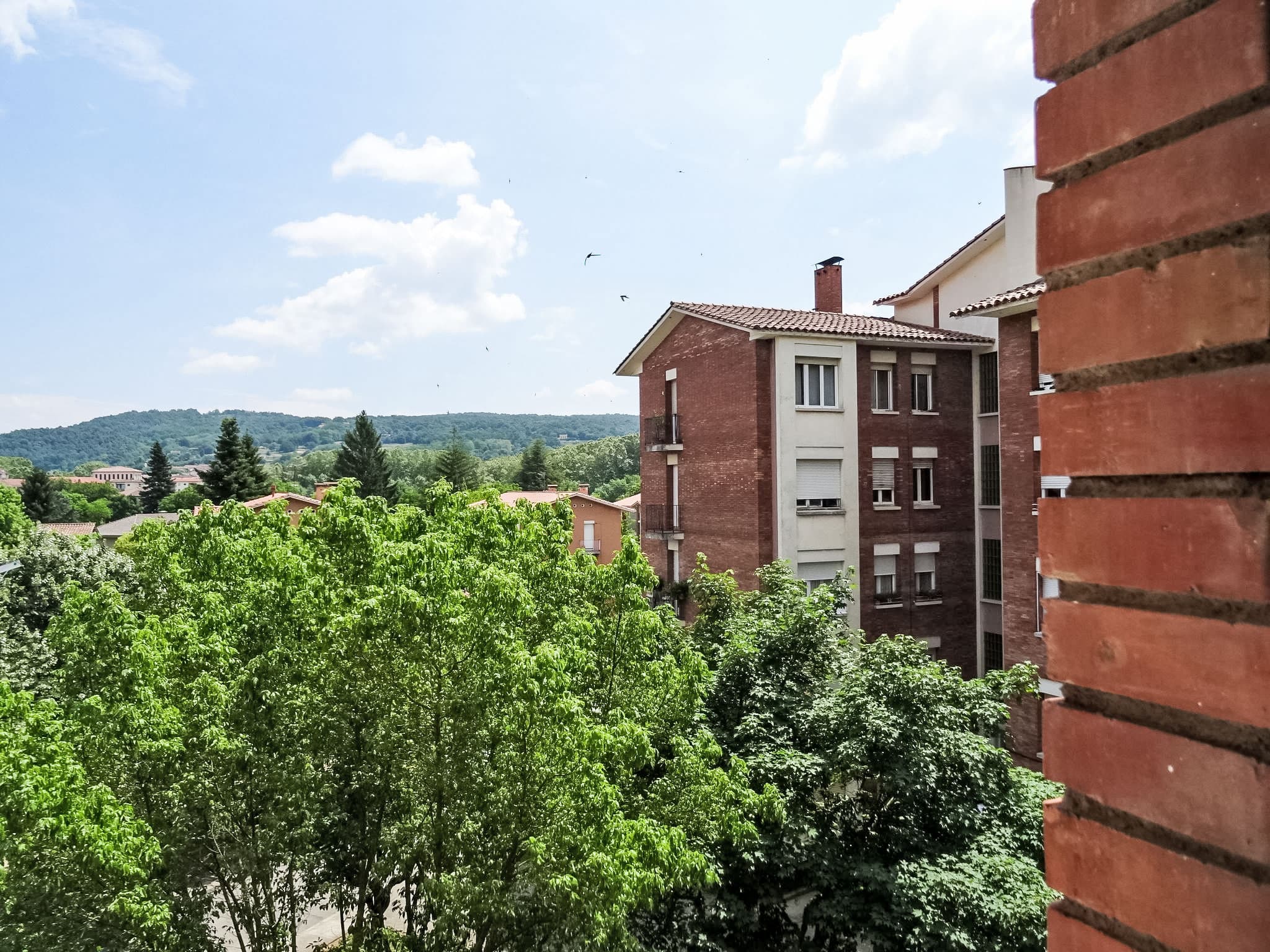 View