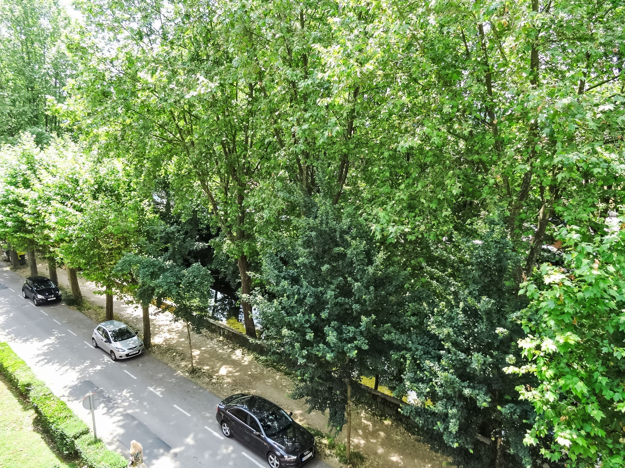 View
