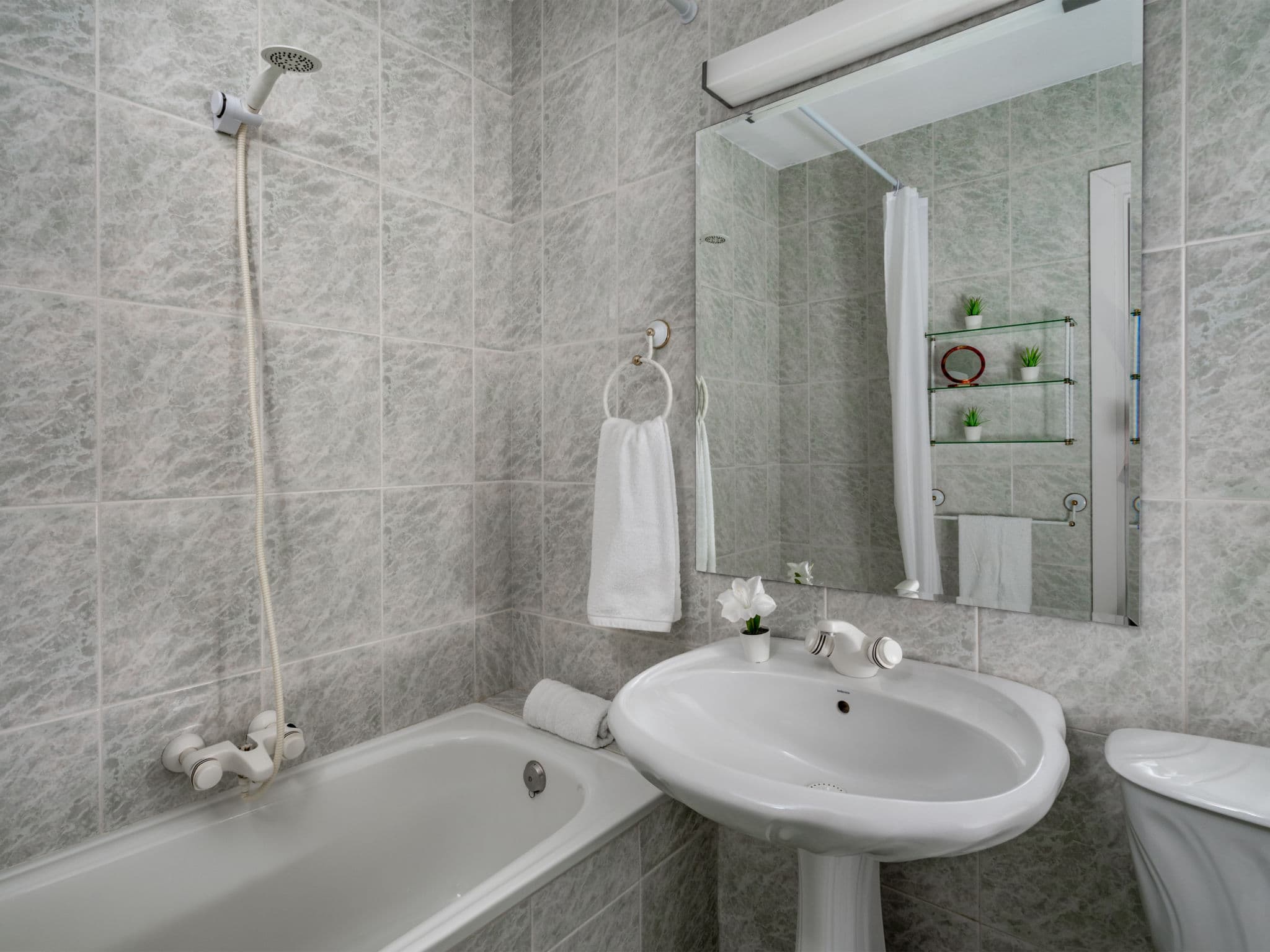 Bathroom / Wellness