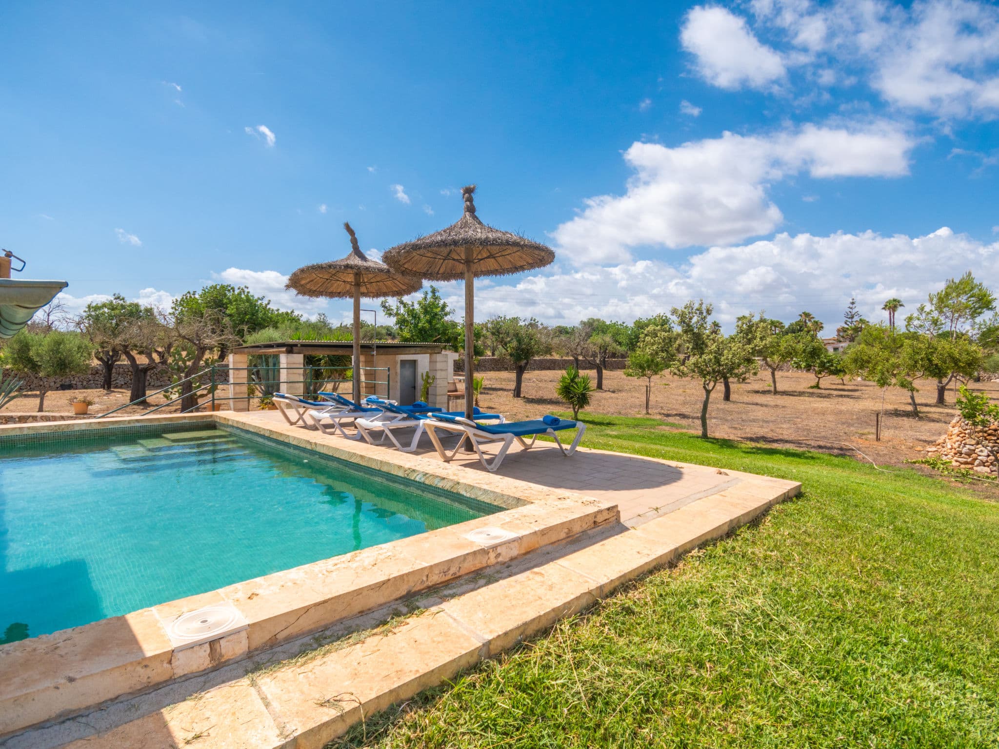 Pool Outdoor