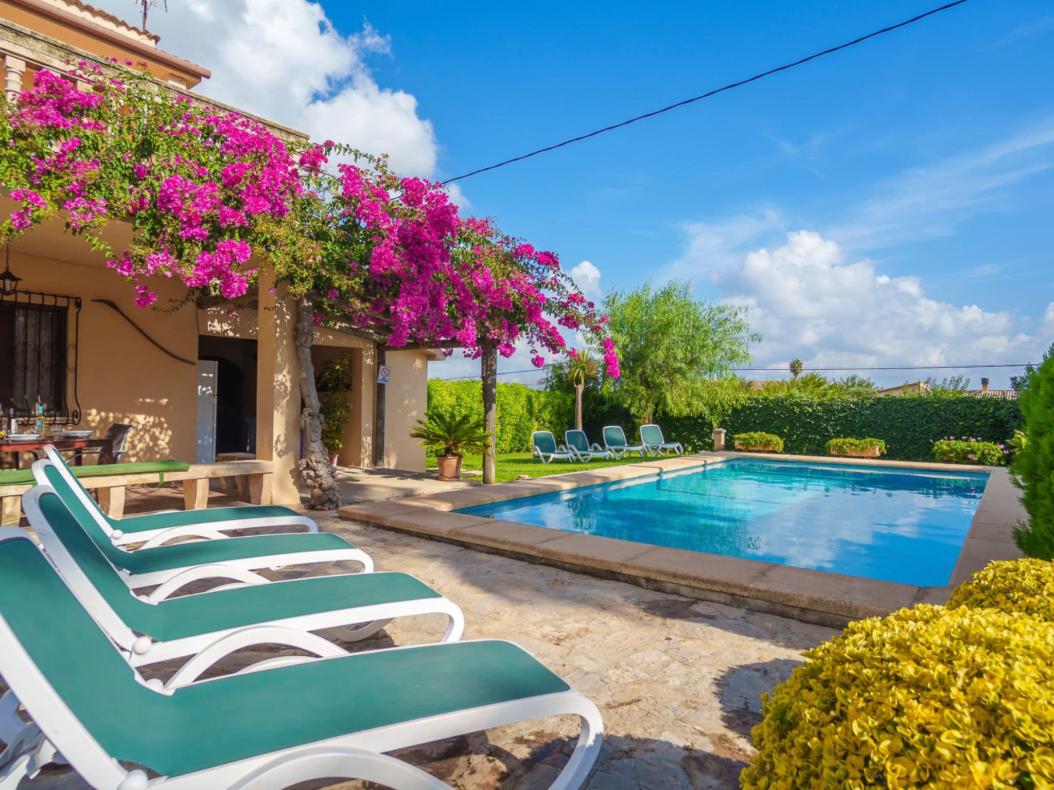 Pool Outdoor