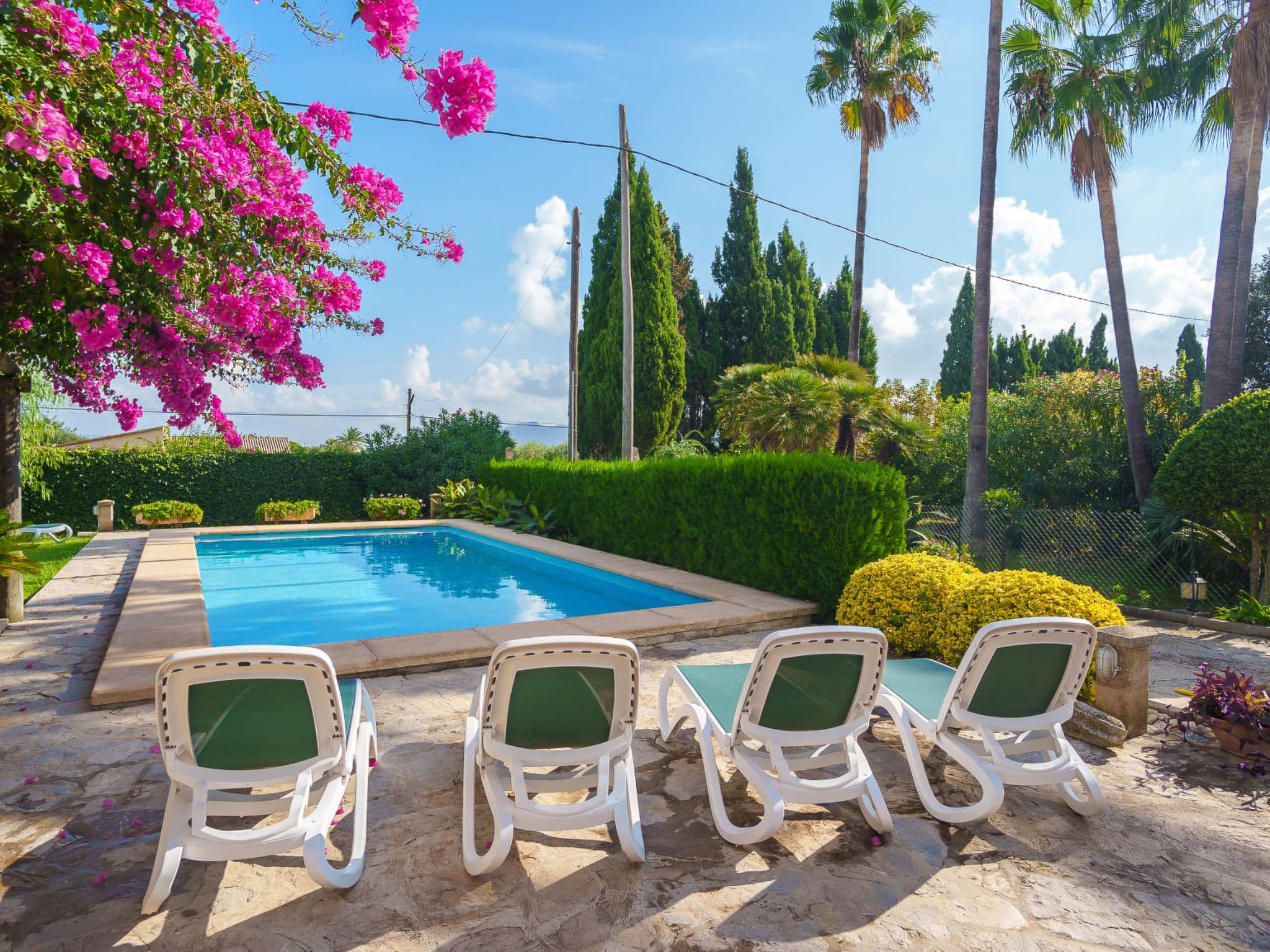 Pool Outdoor