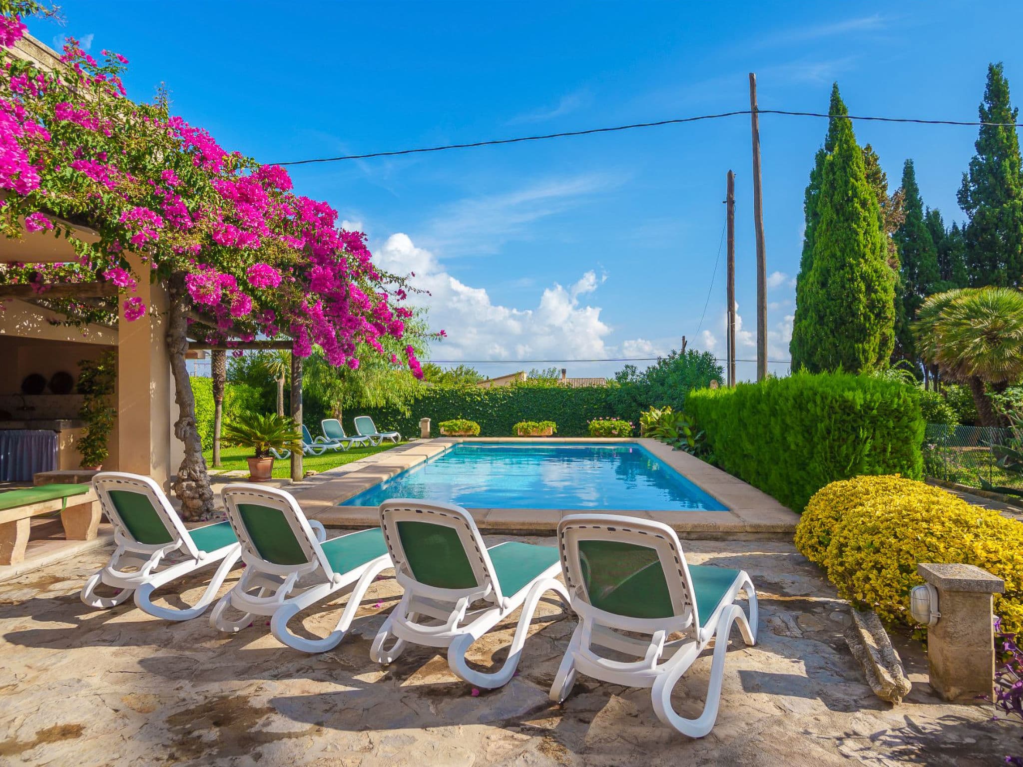 Pool Outdoor