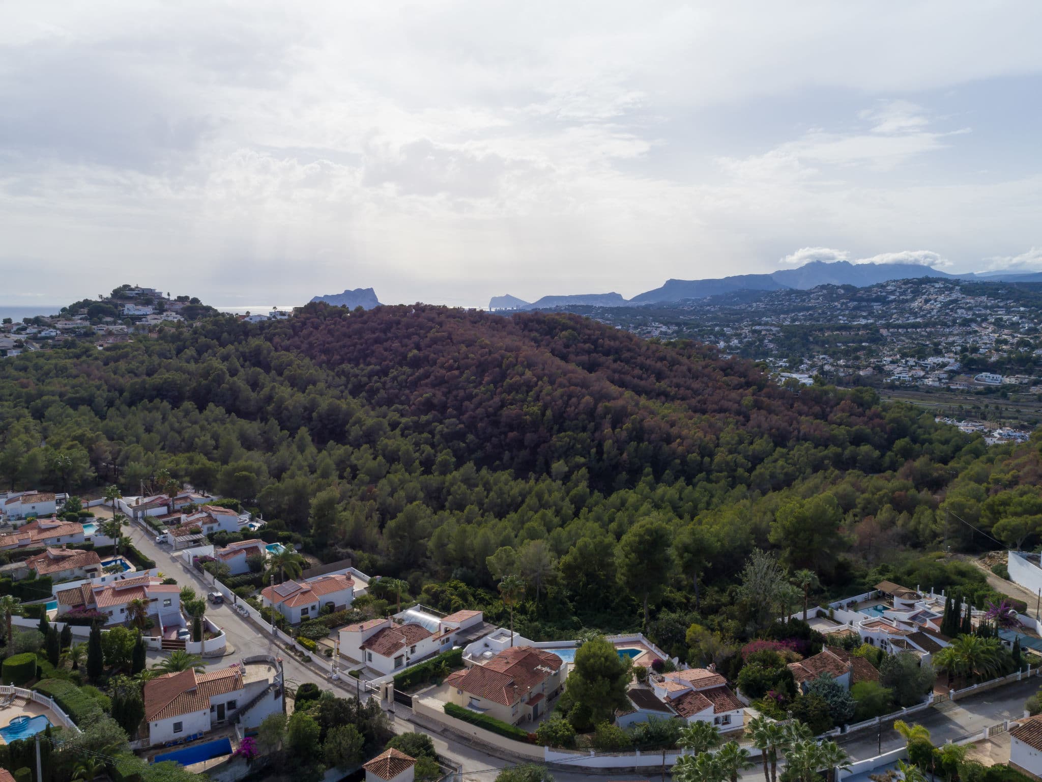 View