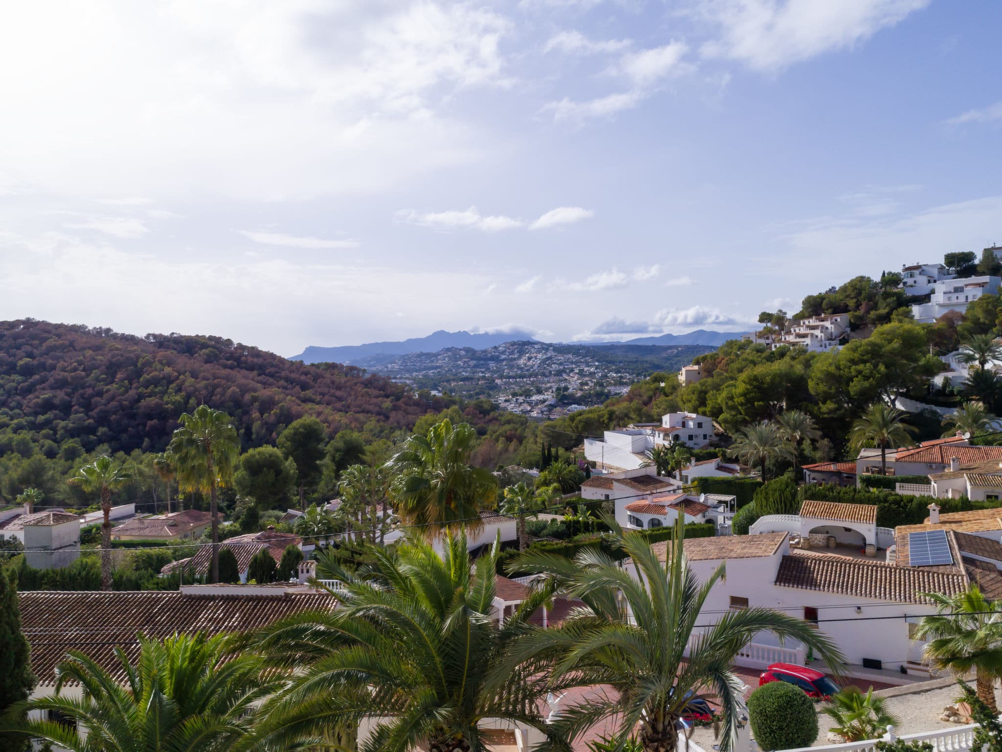 View