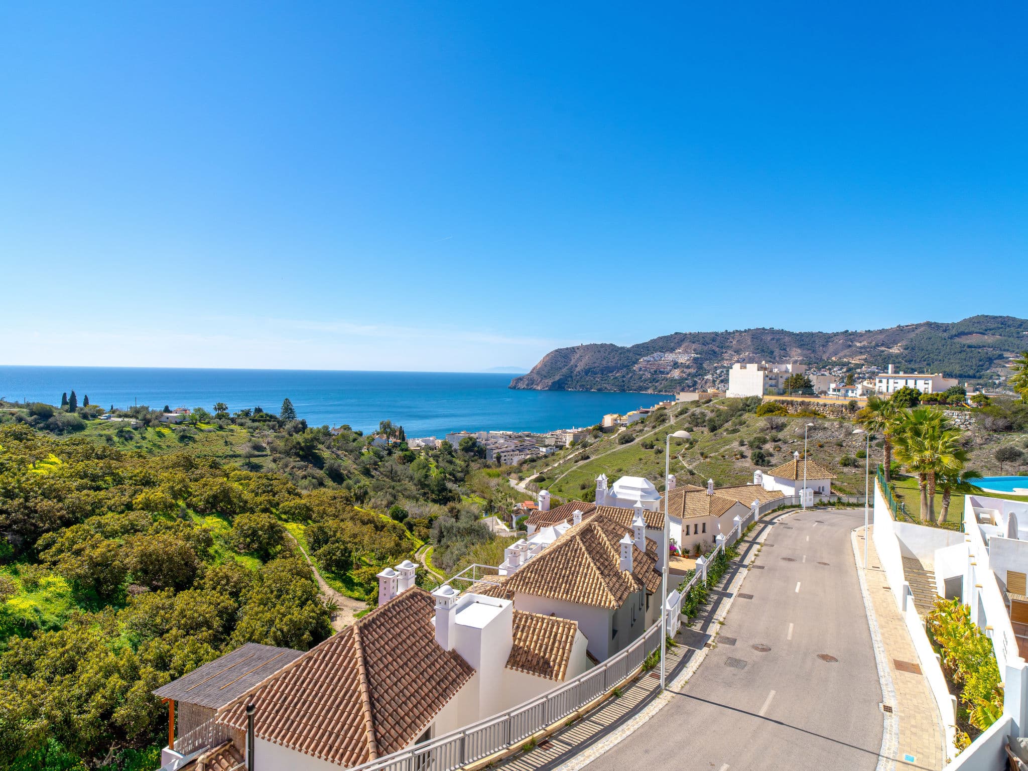 View