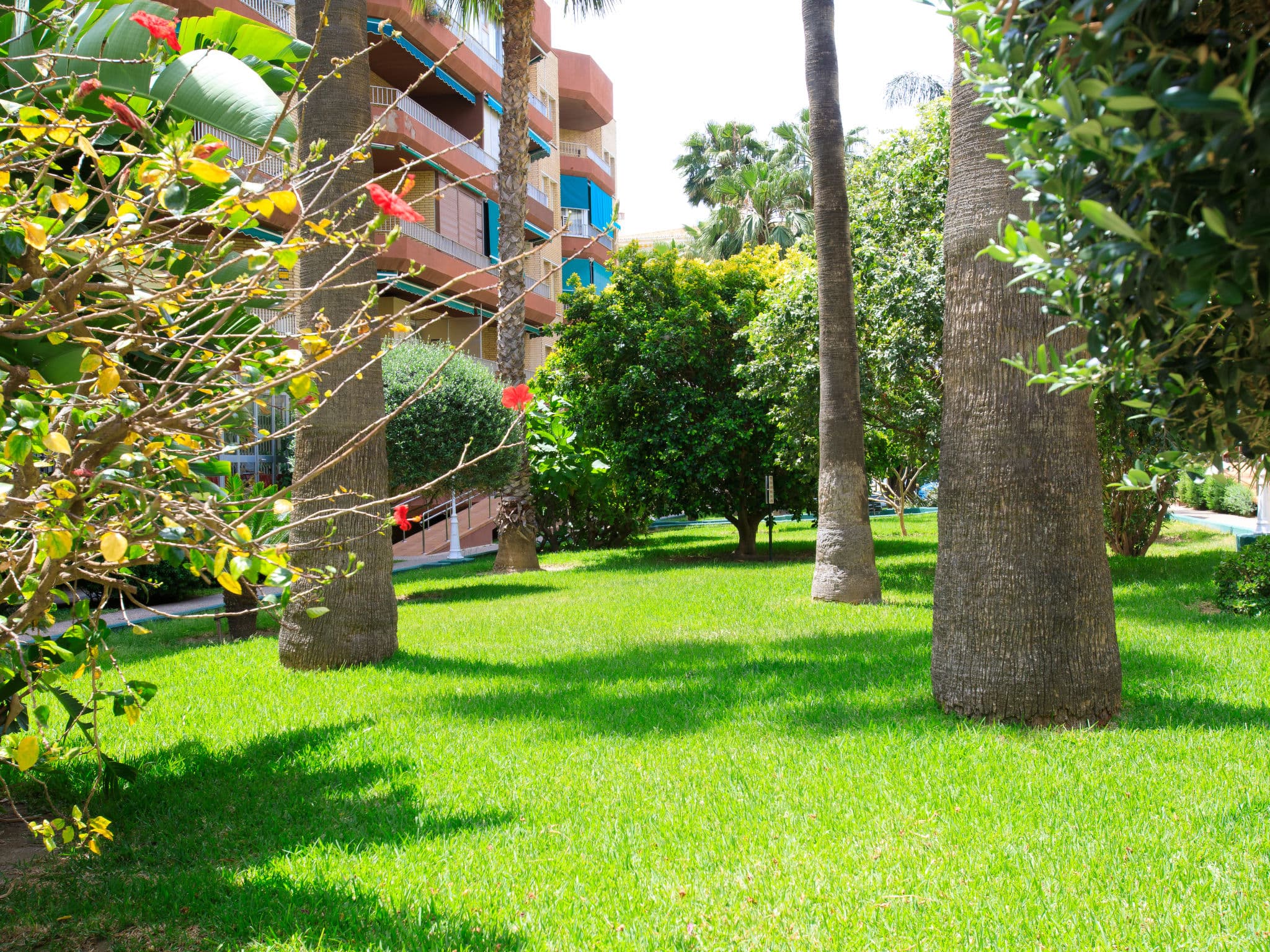 Outdoor