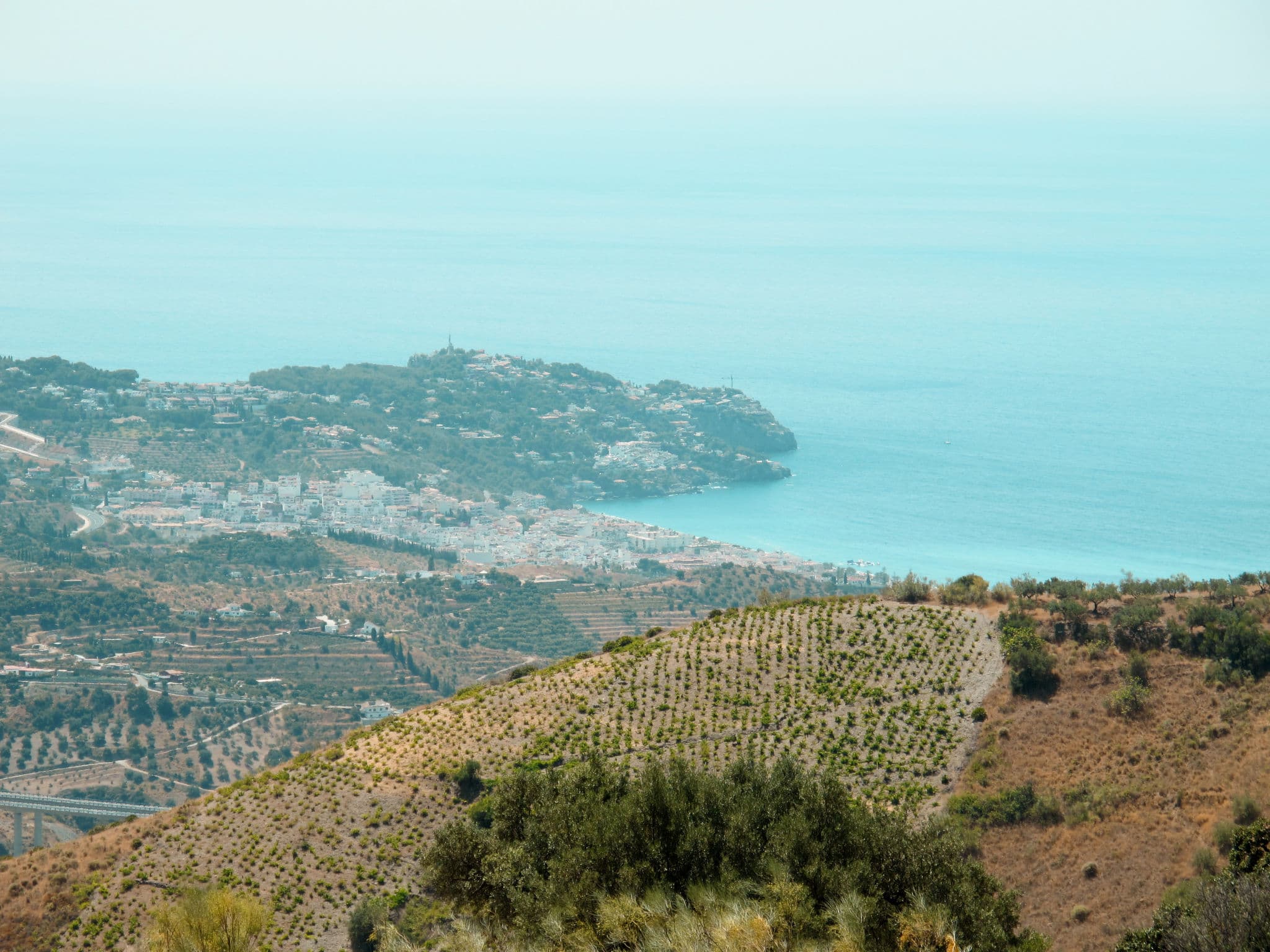 View