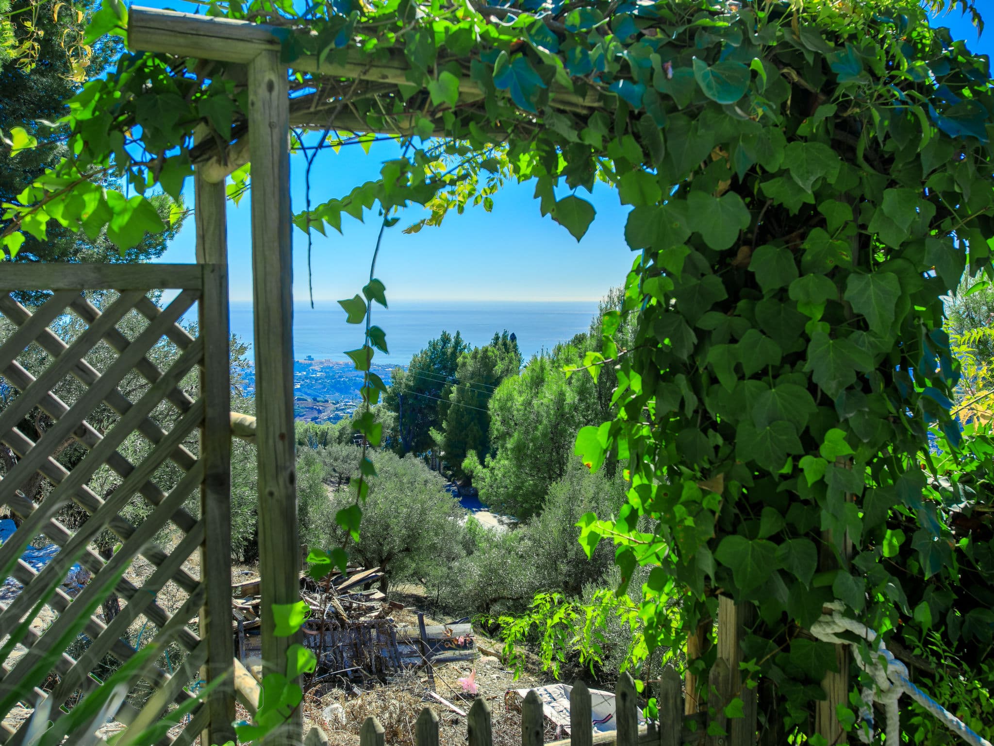 View