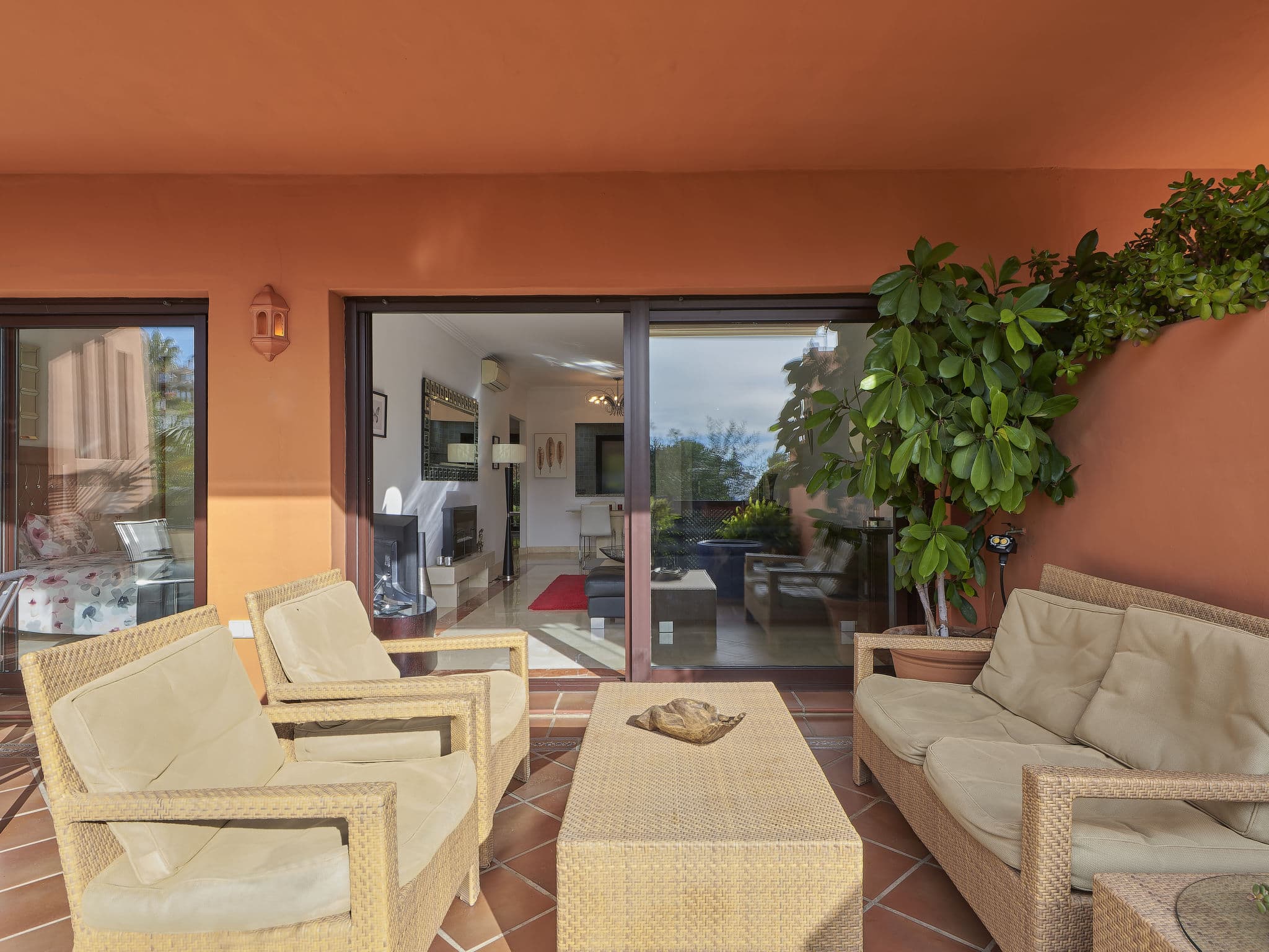 Terrace