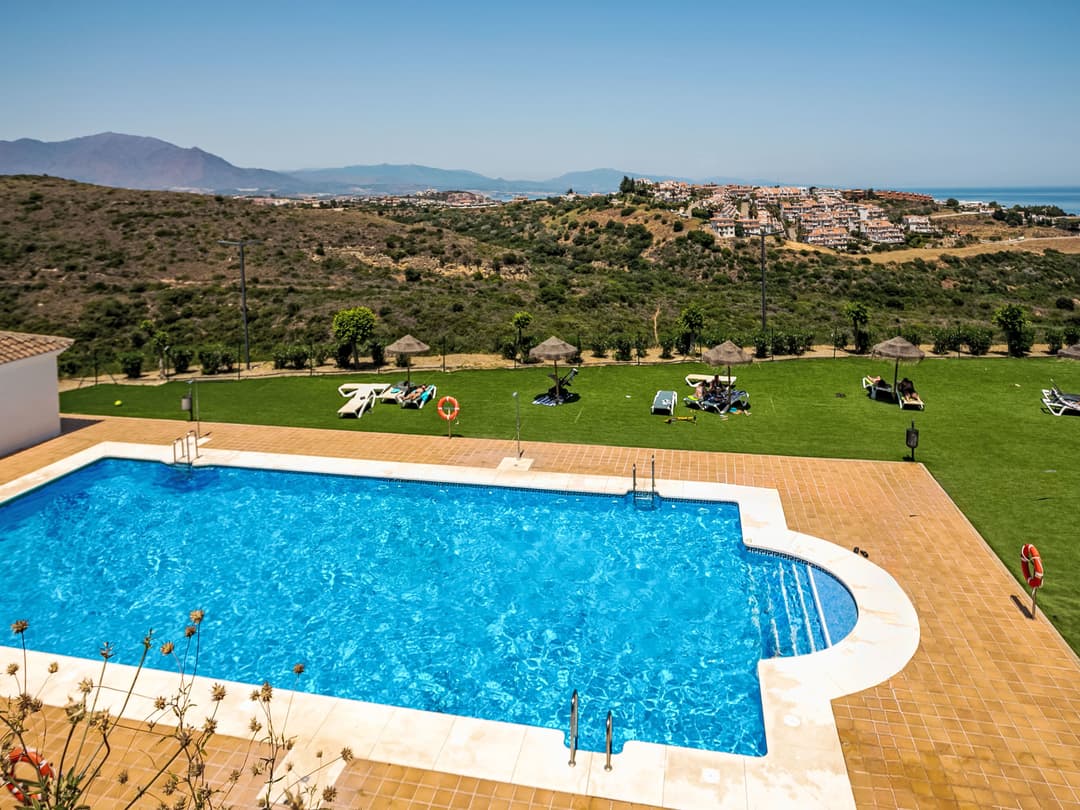 Large Image