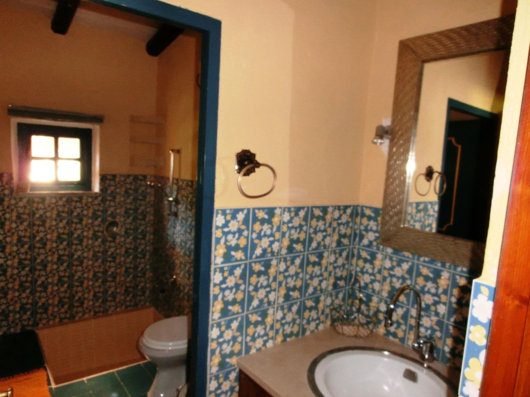 Gallery Image 15