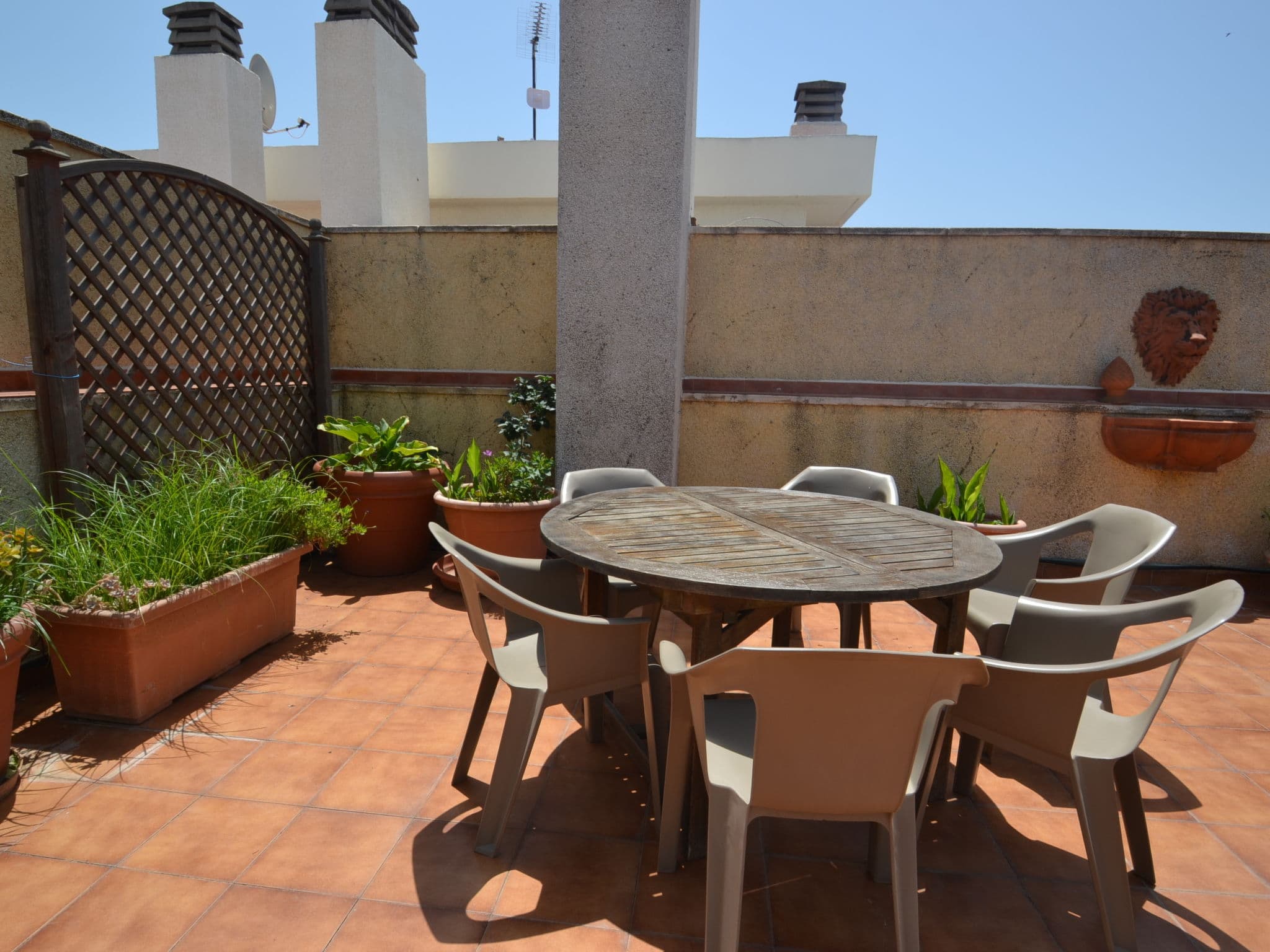 Terrace