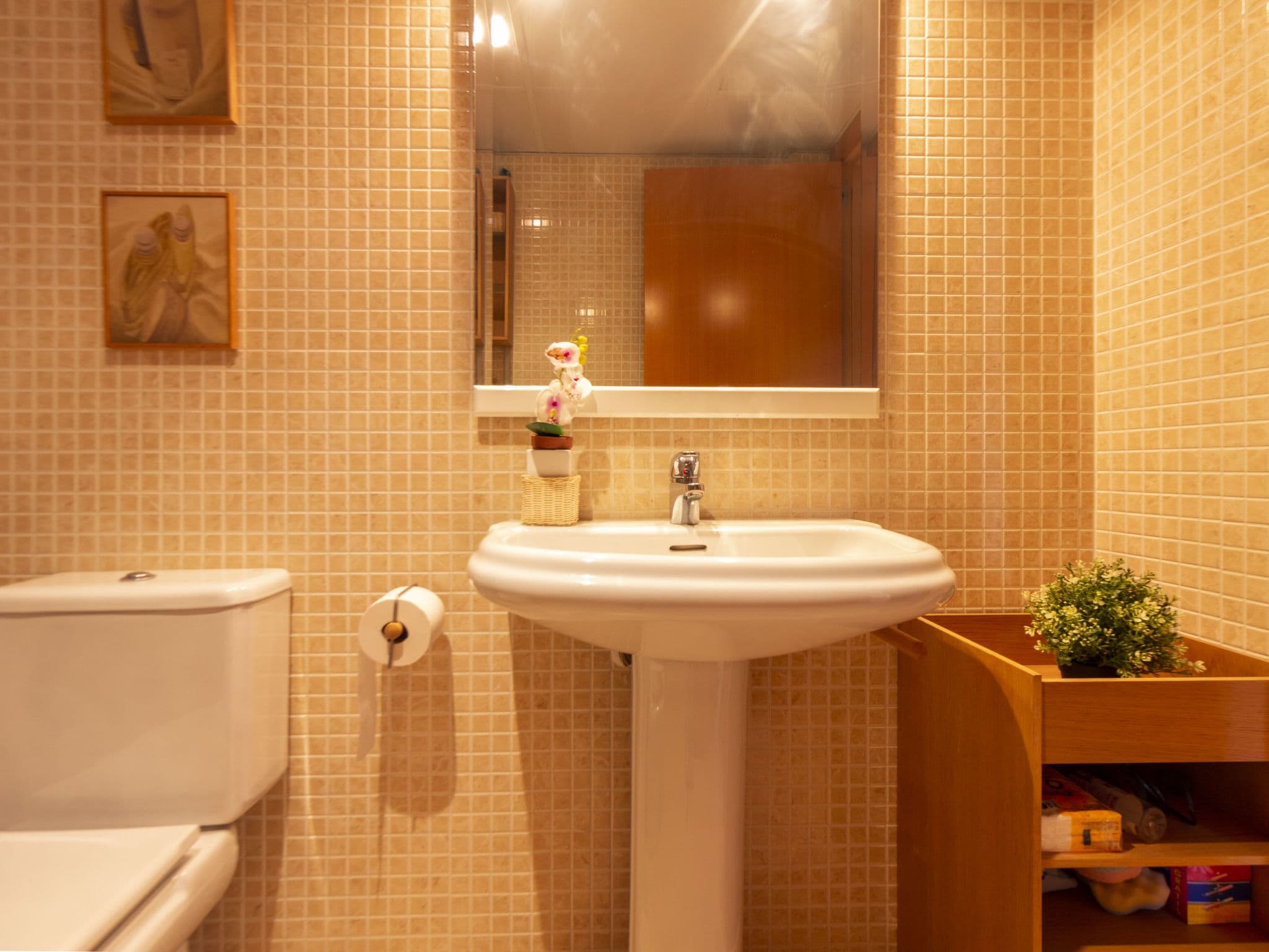 Bathroom / Wellness