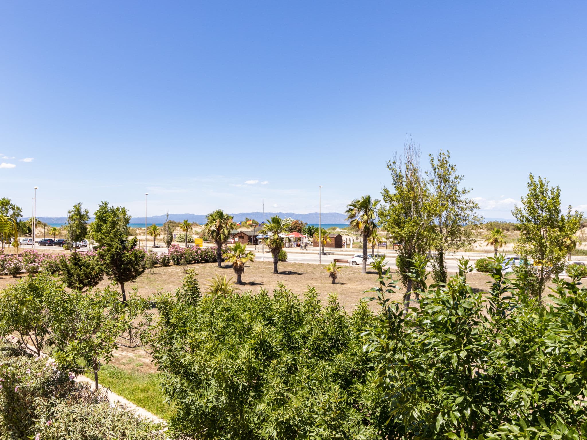 View