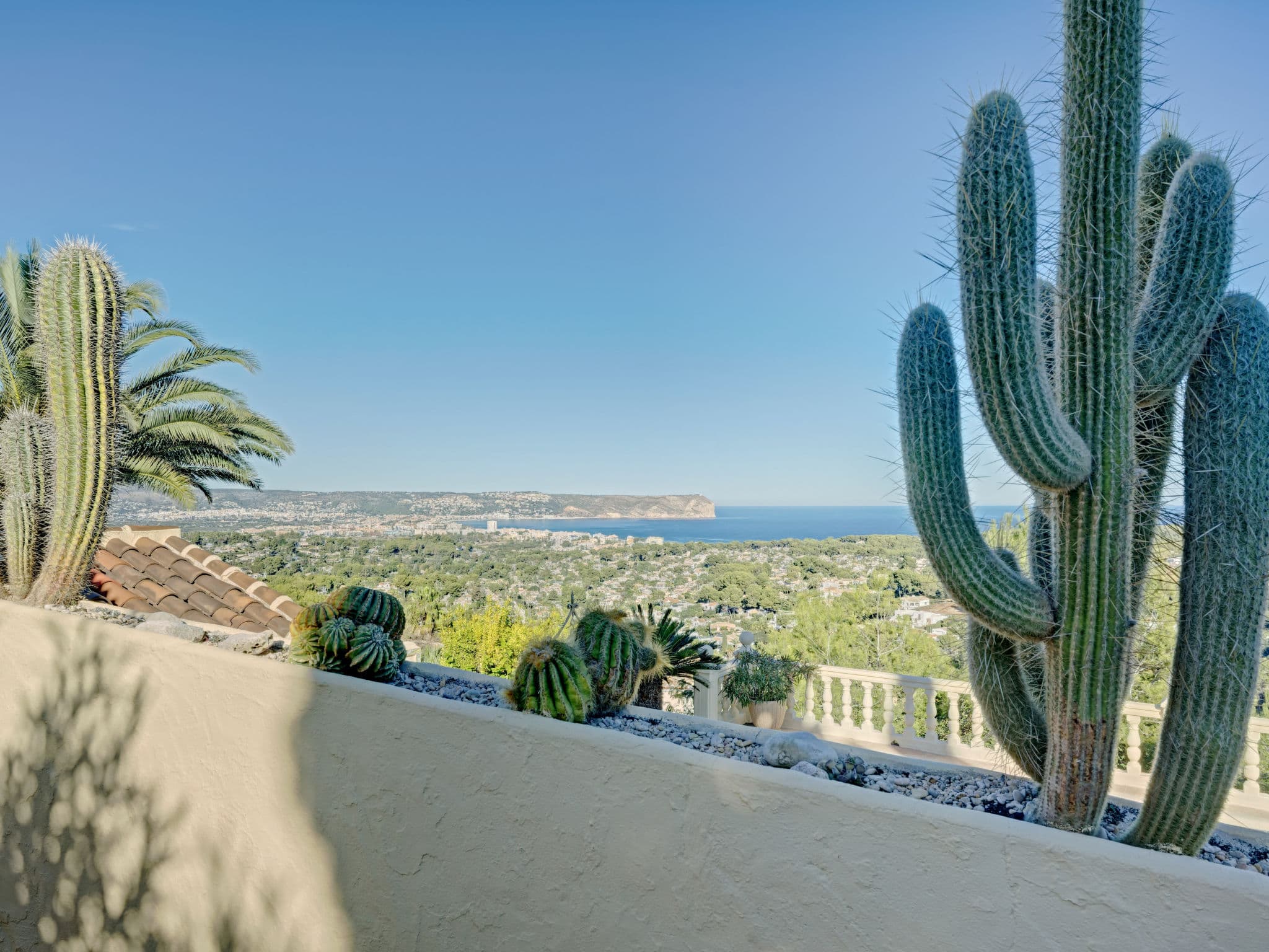 View