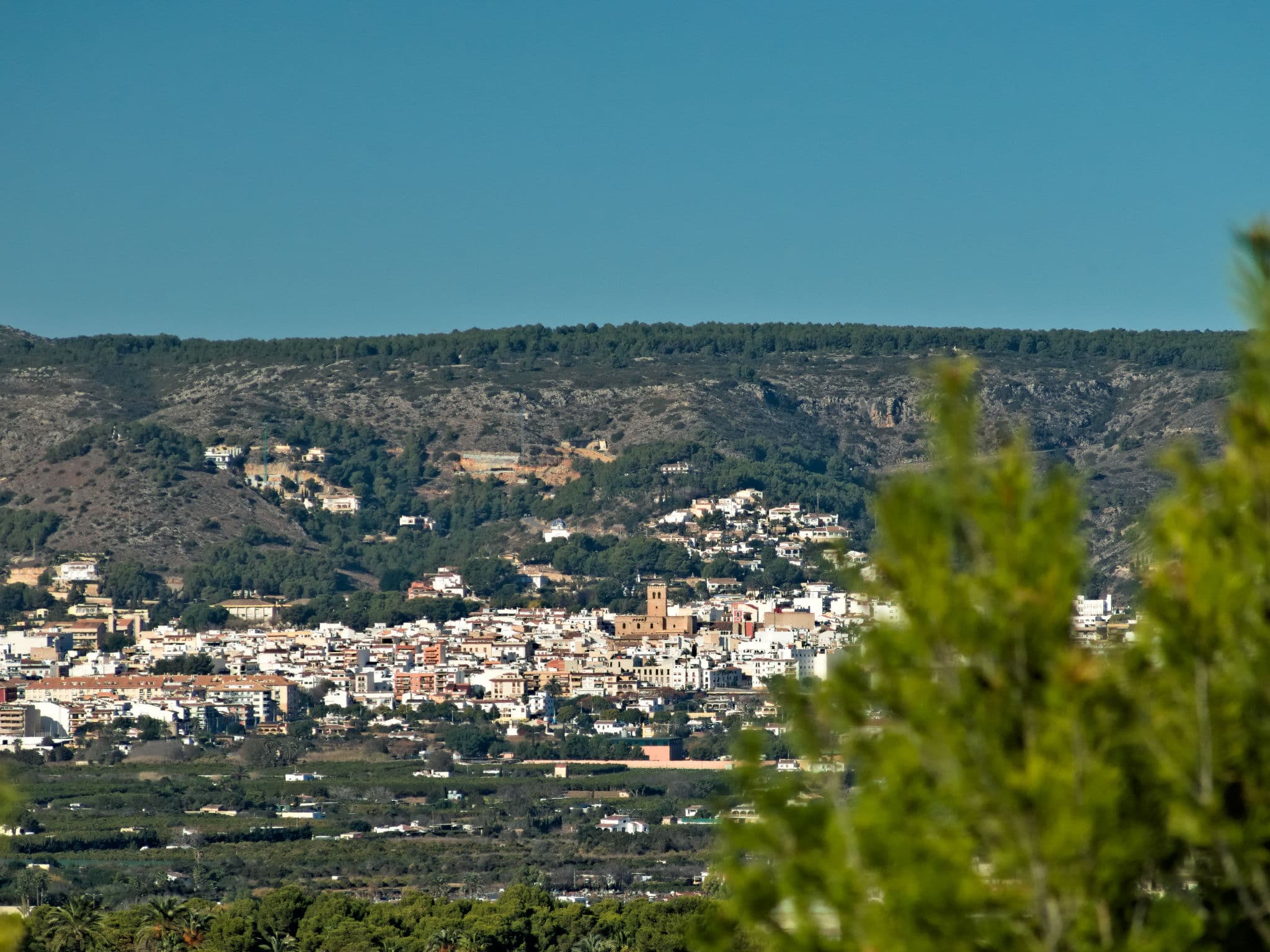 View
