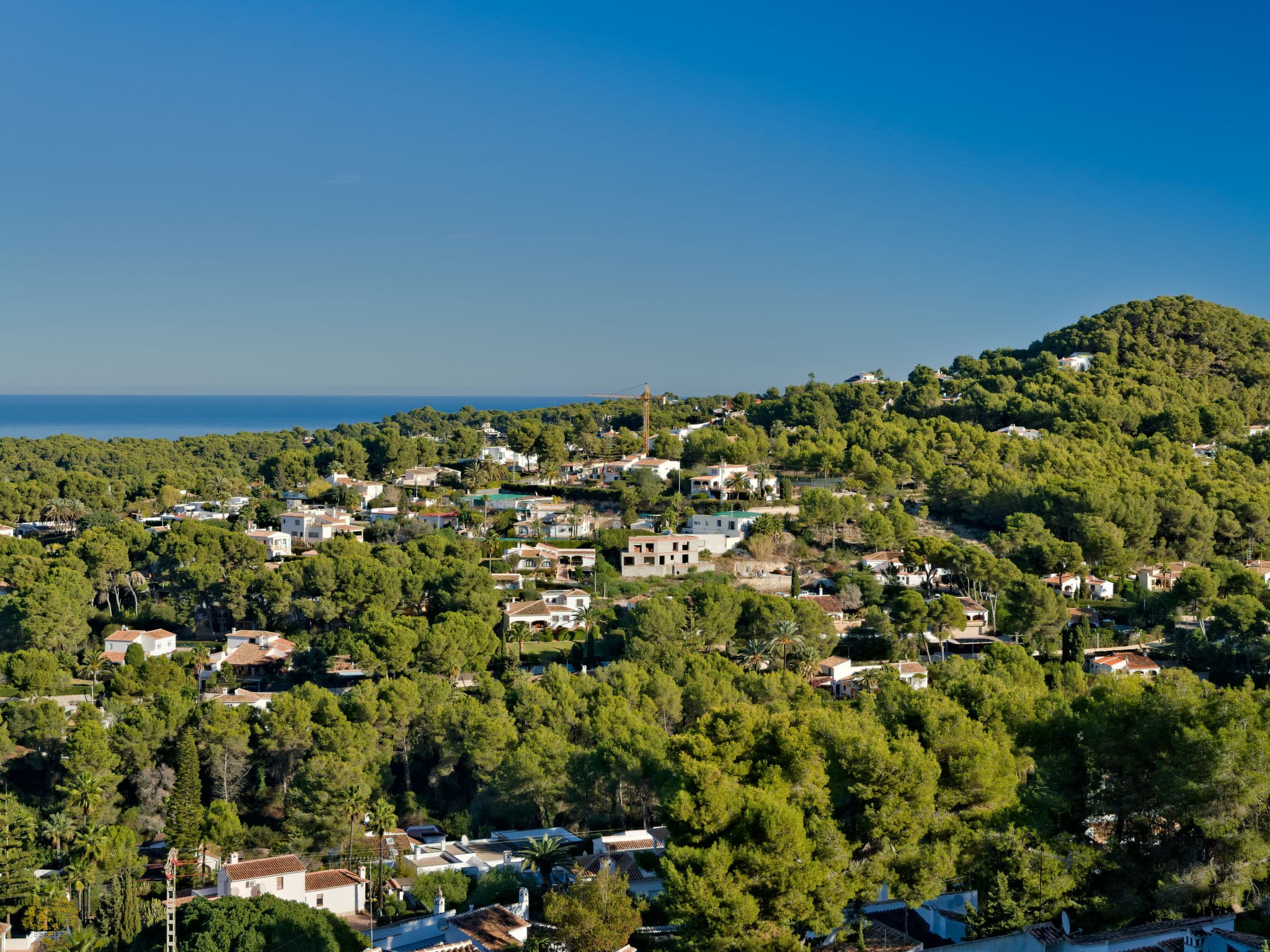View