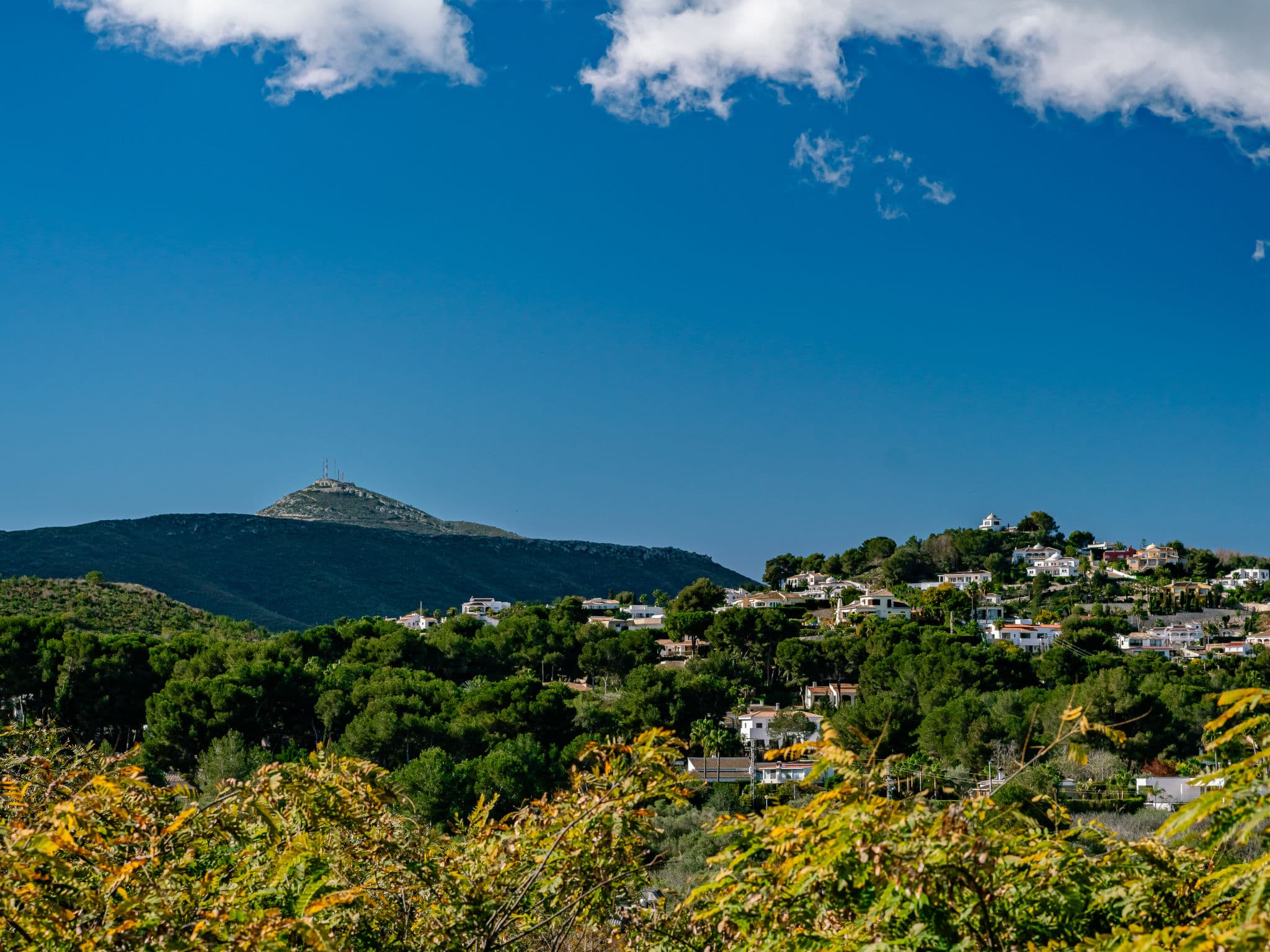 View