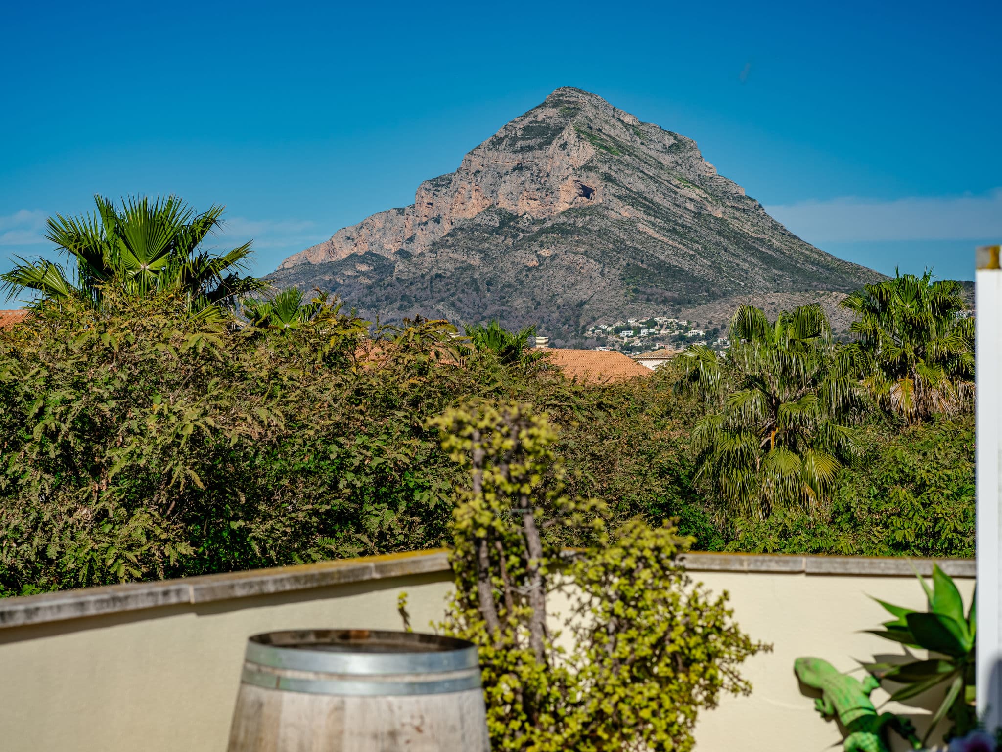 View