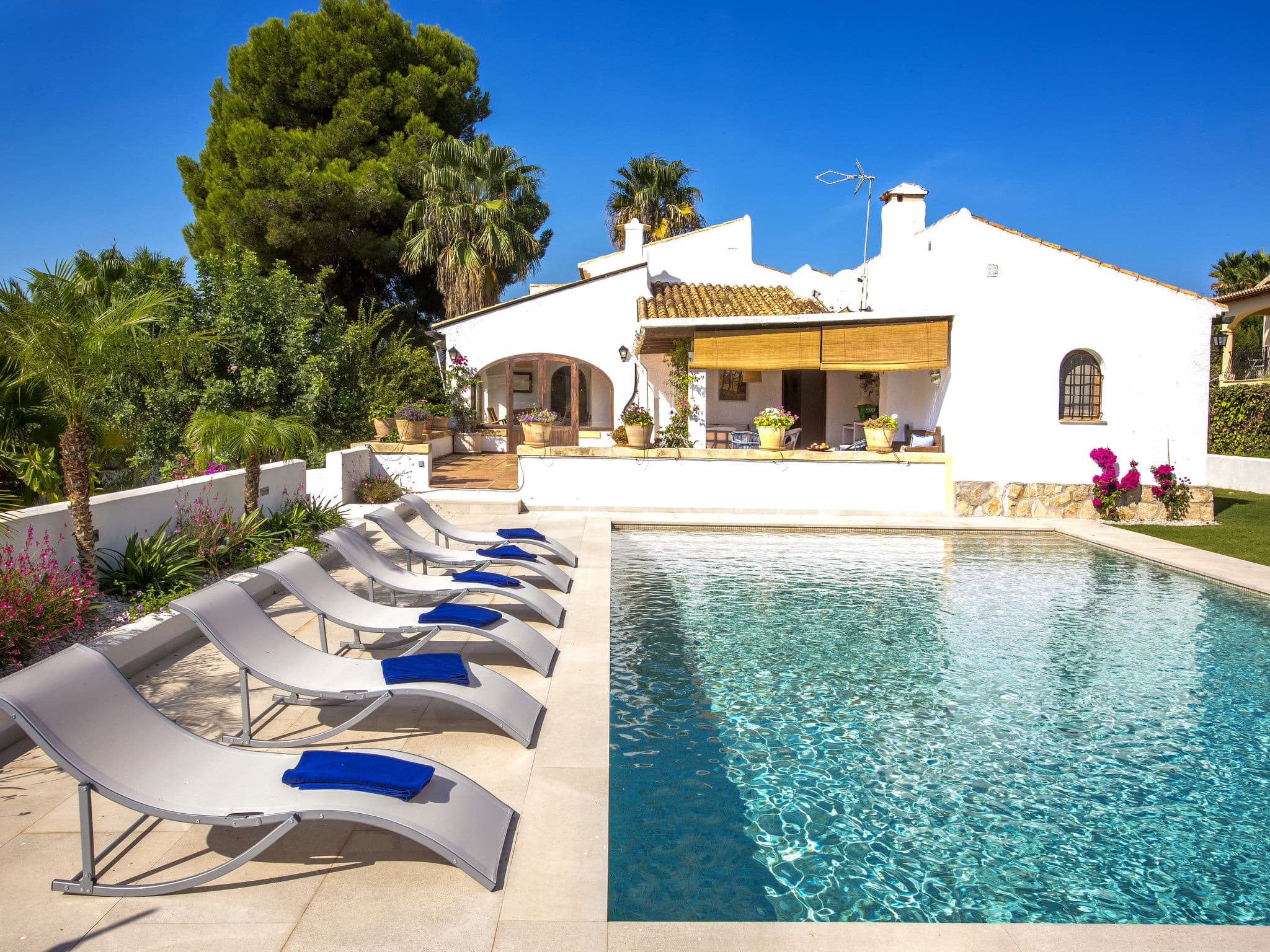 Pool Outdoor
