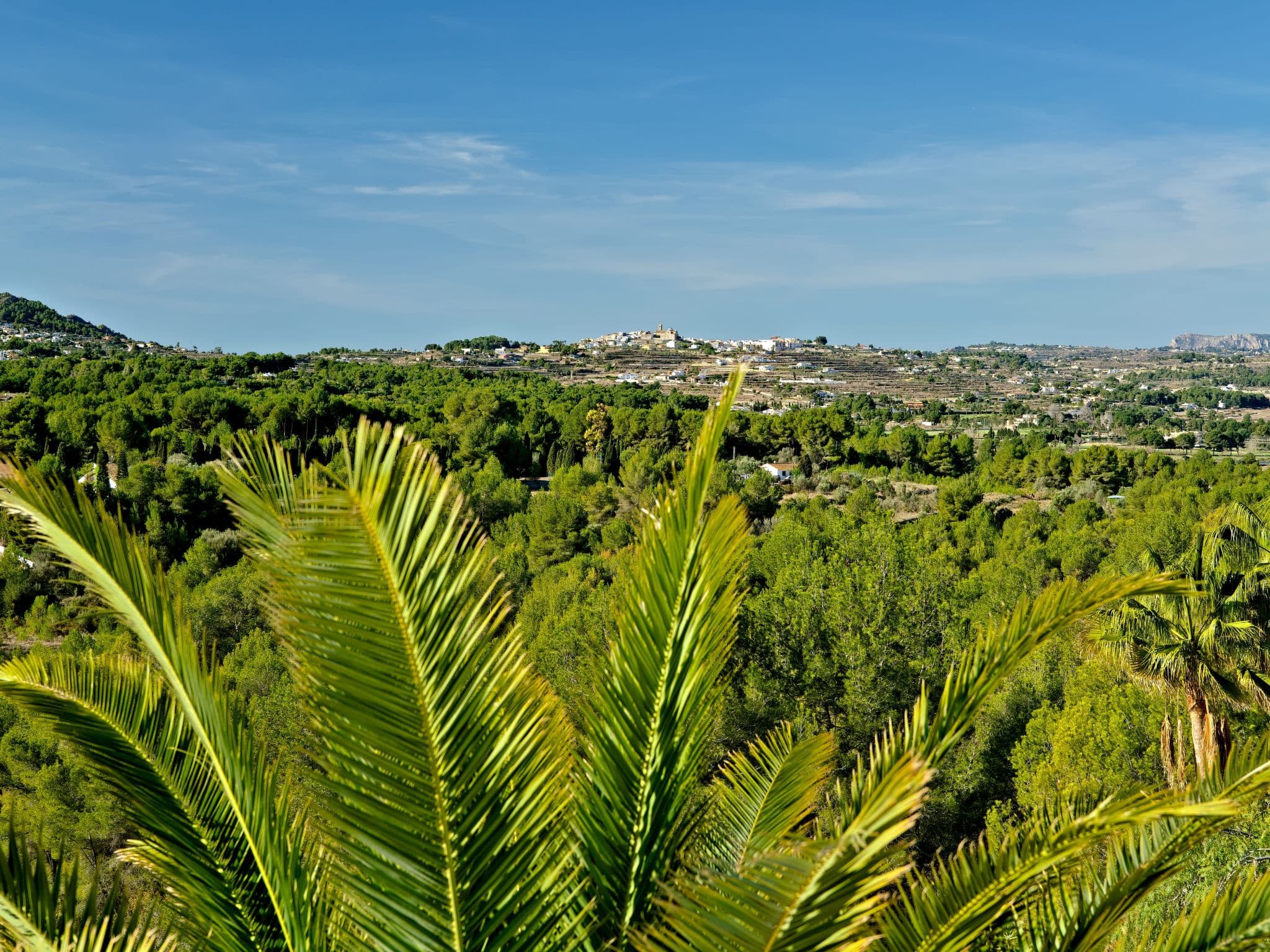 View