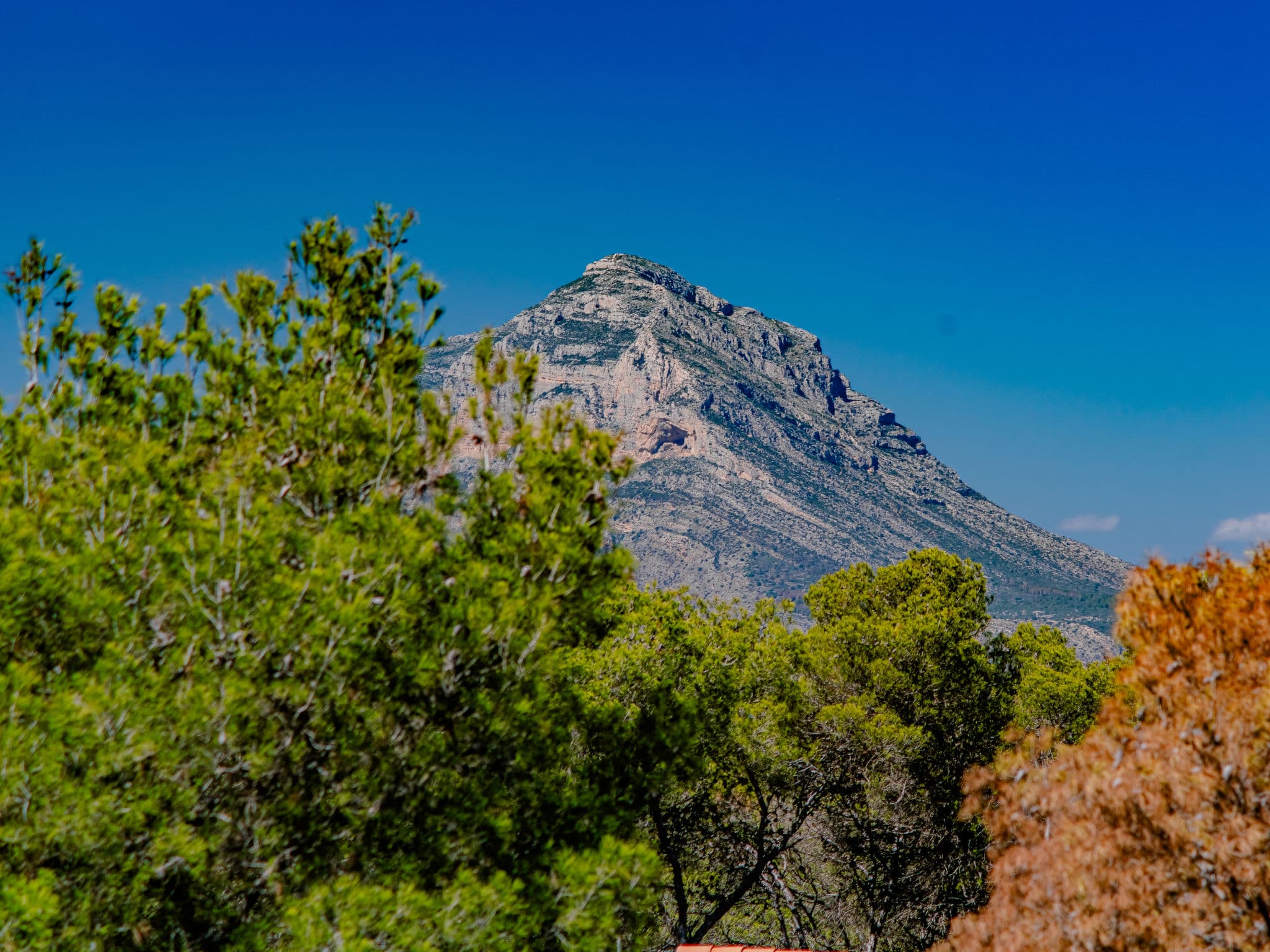 View