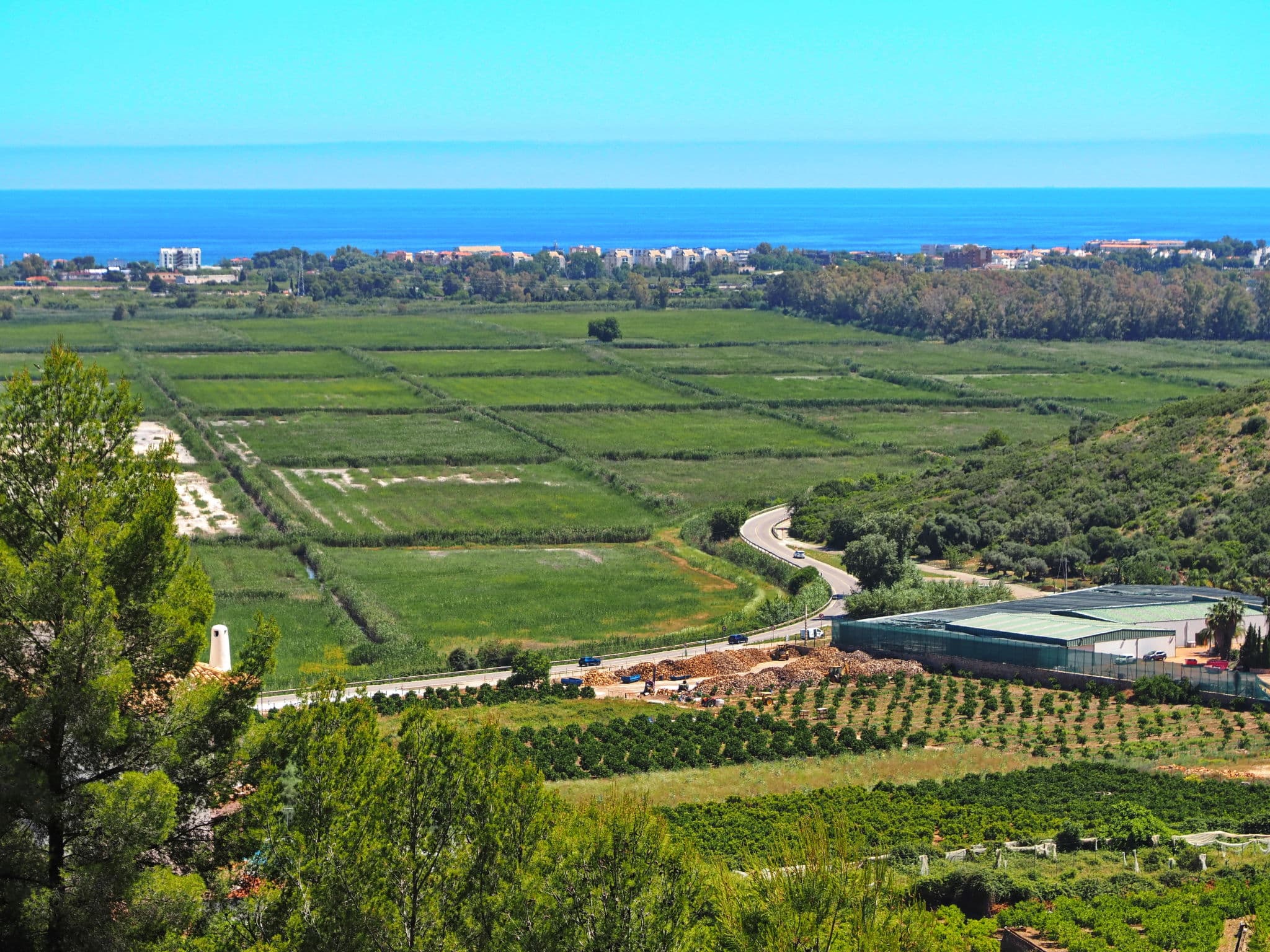View