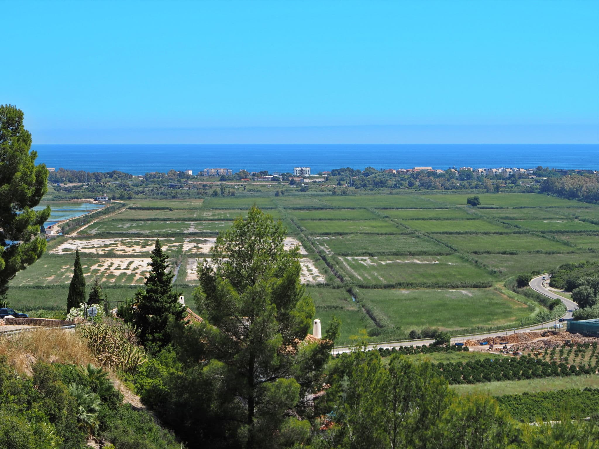 View