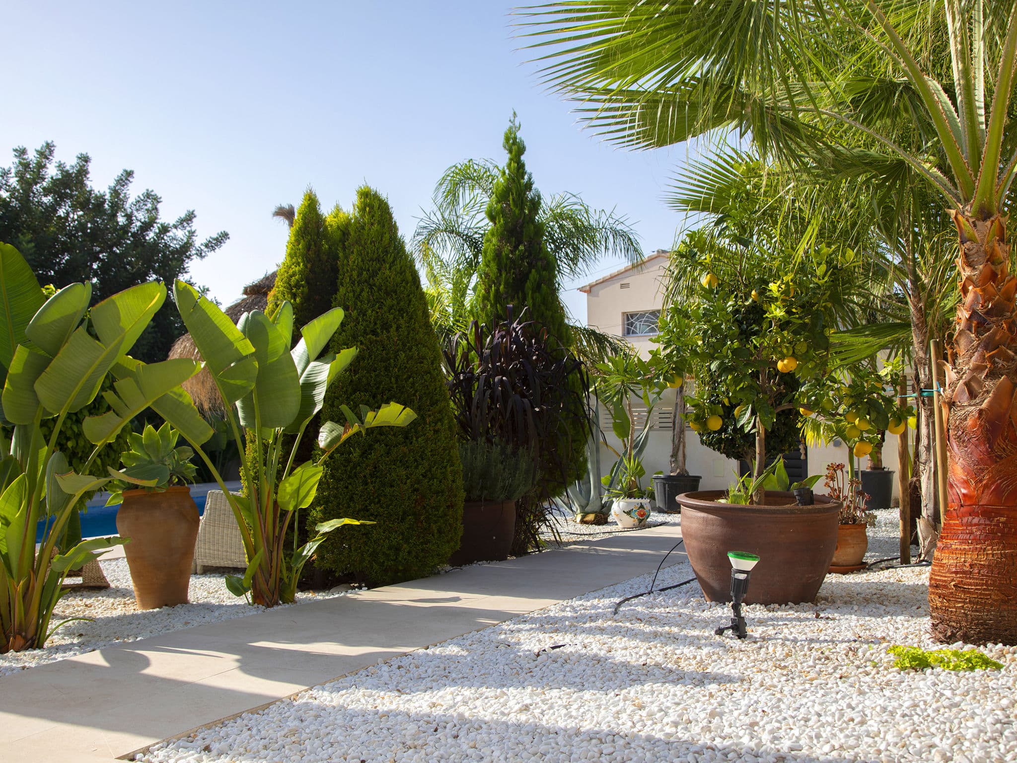 Pool Outdoor