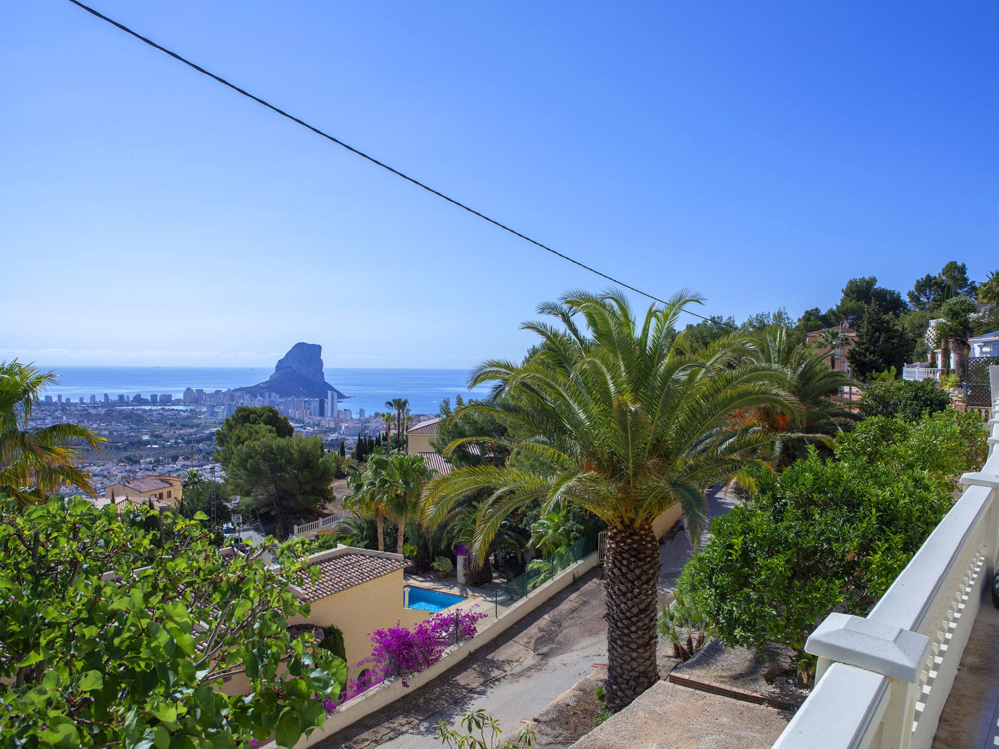 View