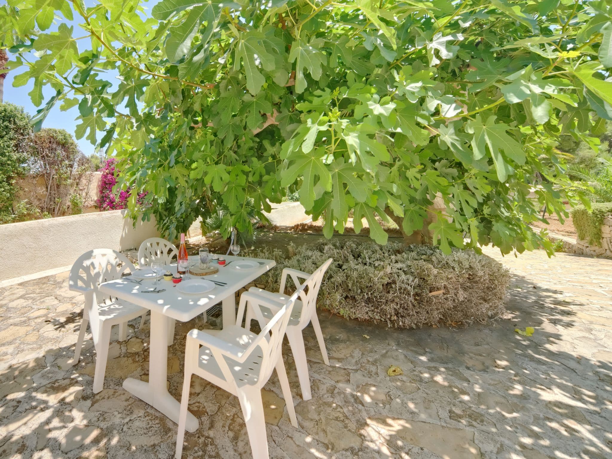 Outdoor