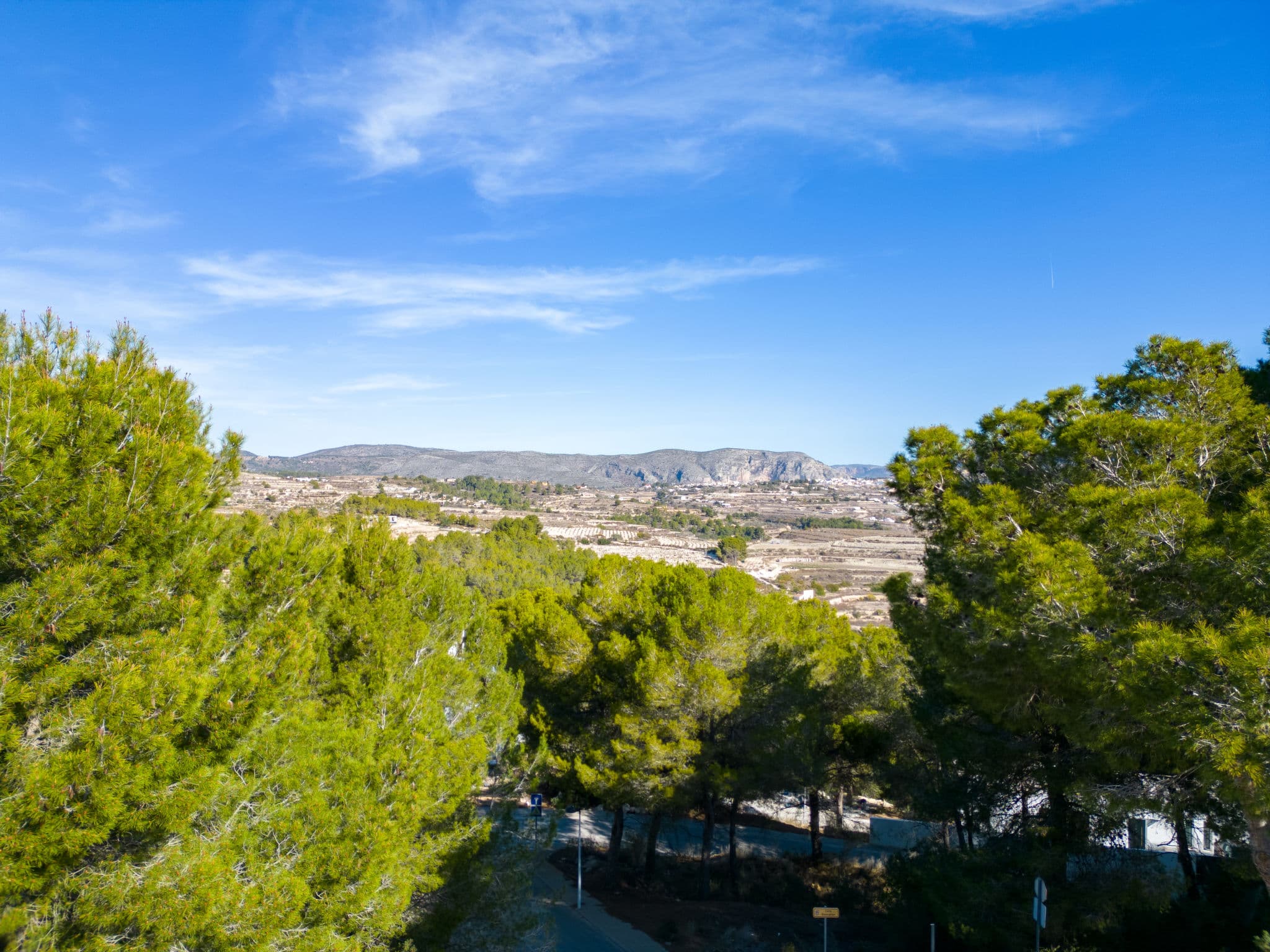 View