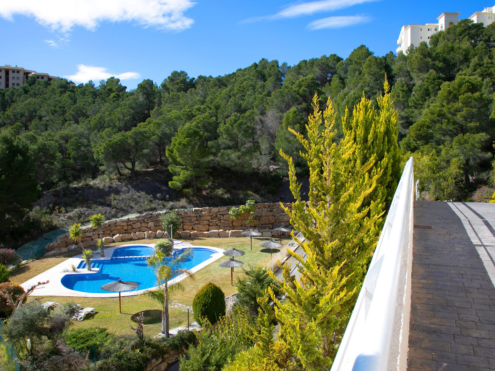 View