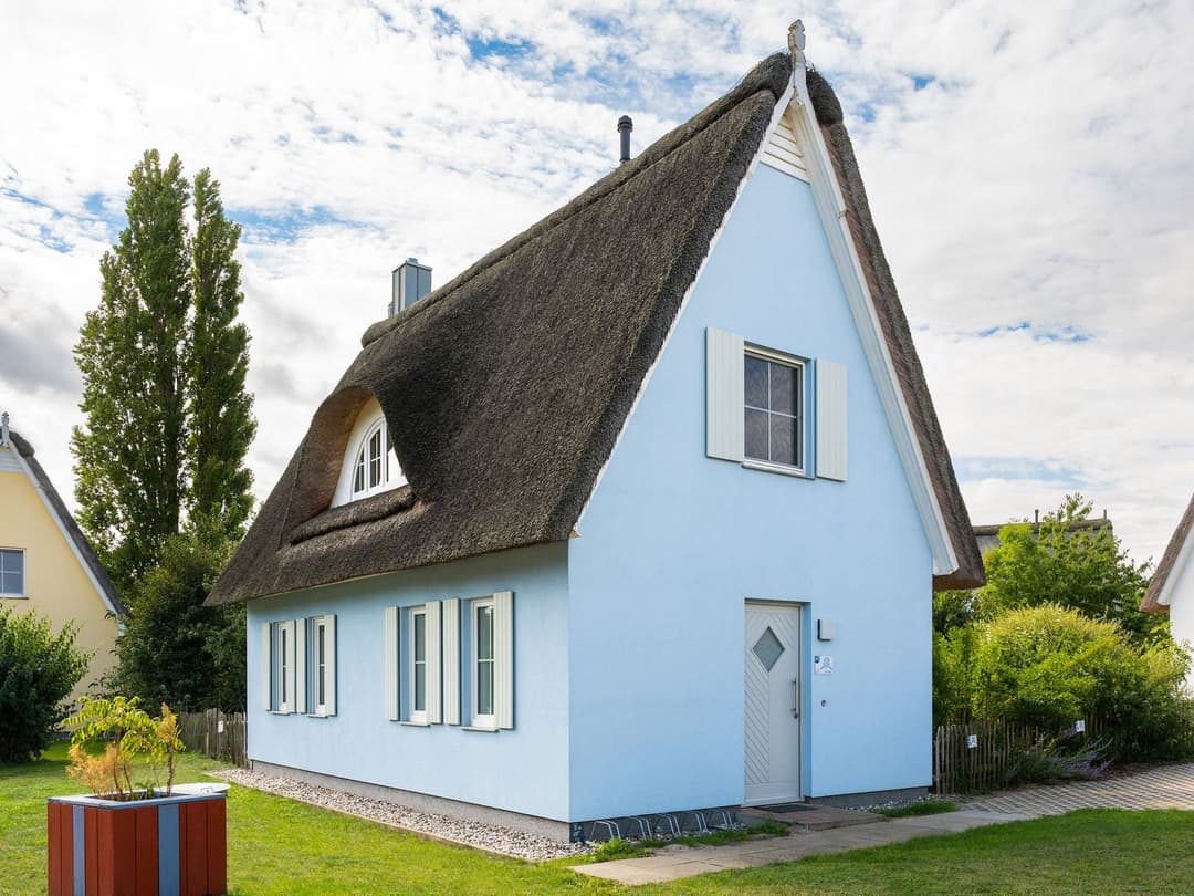 Large Image