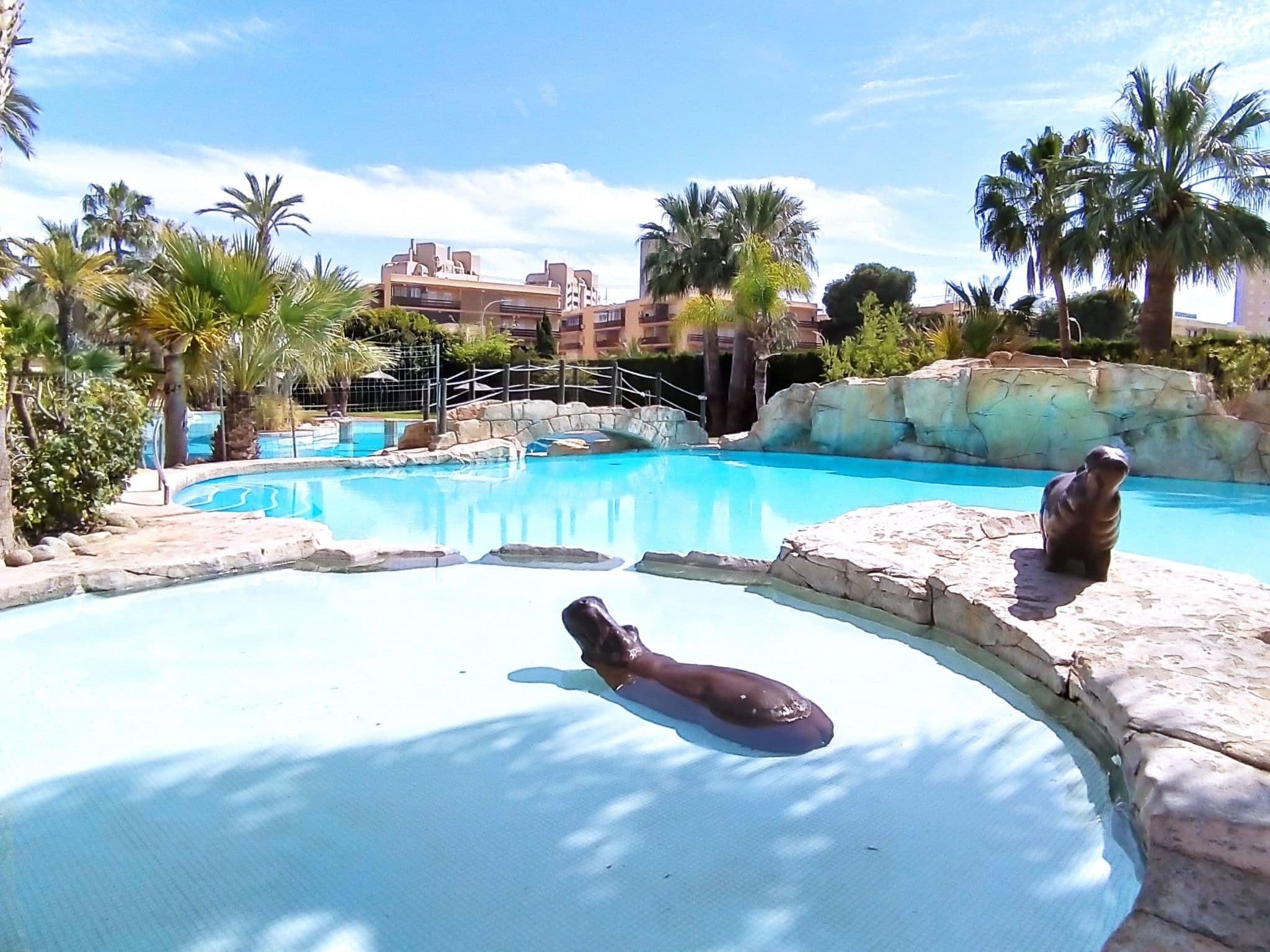 Pool Outdoor