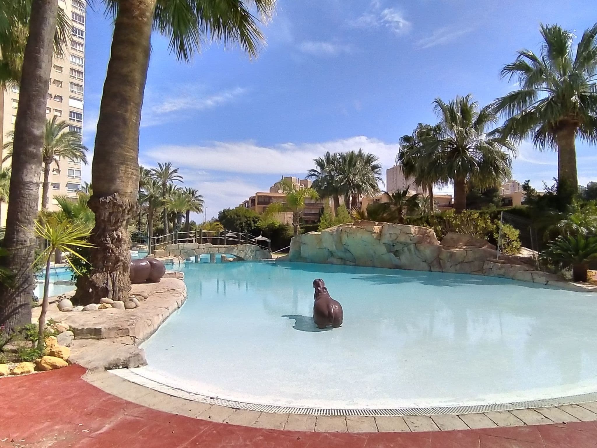 Pool Outdoor