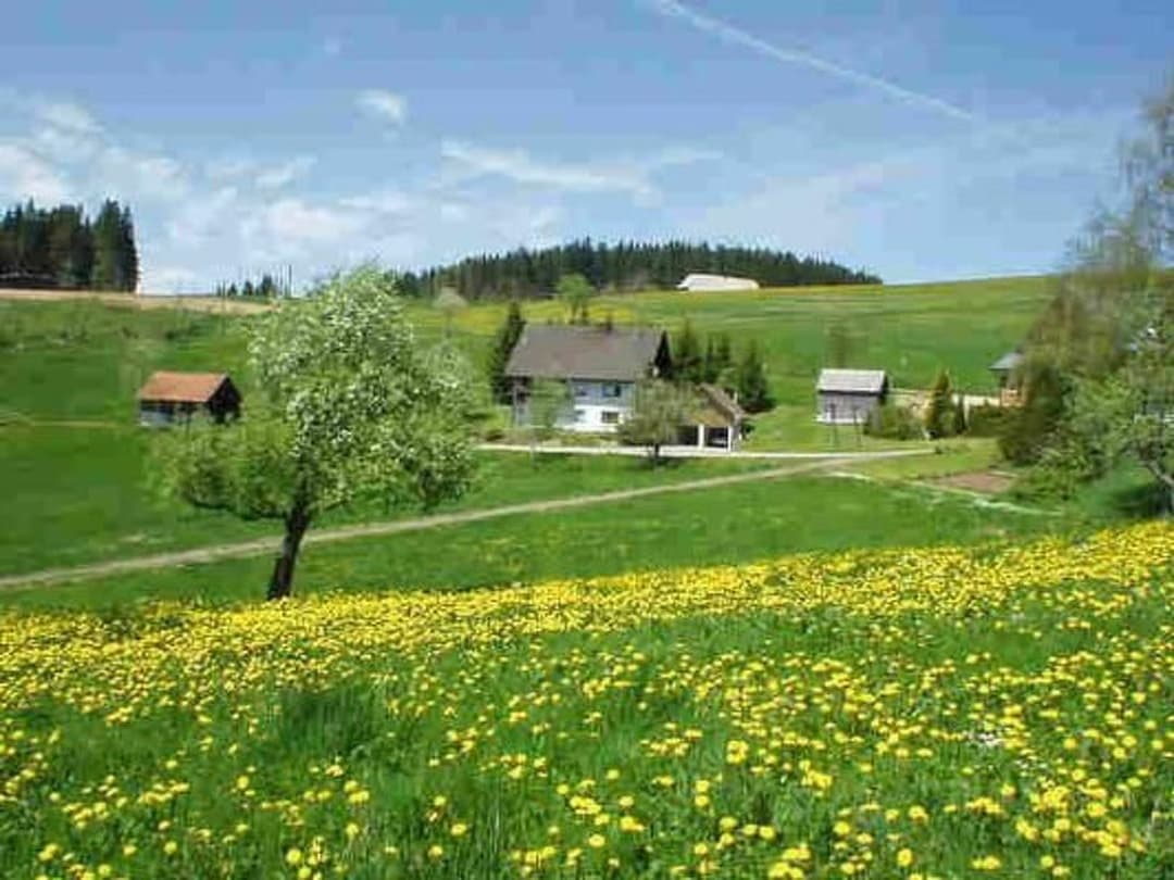 Large Image