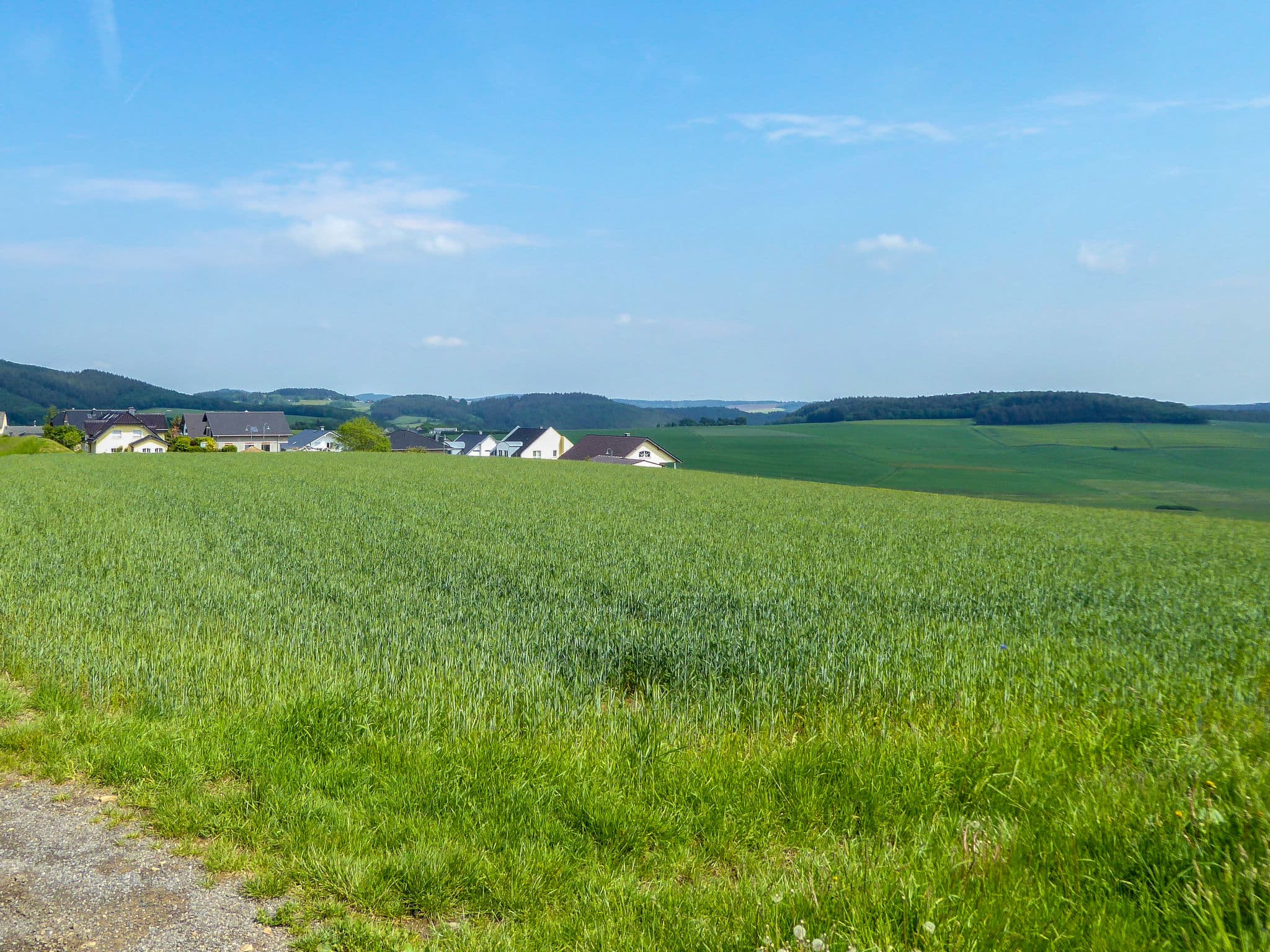 View