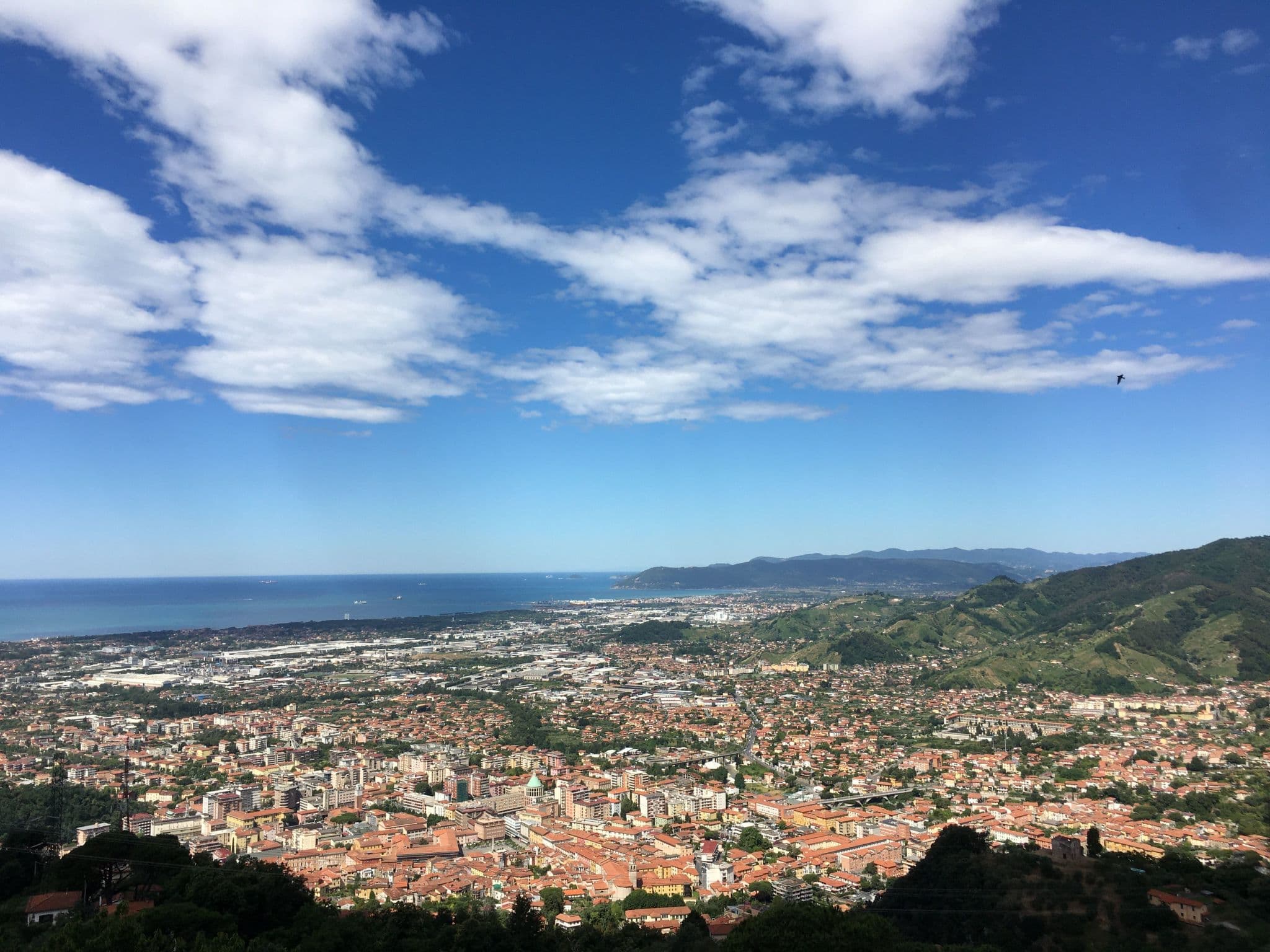 View