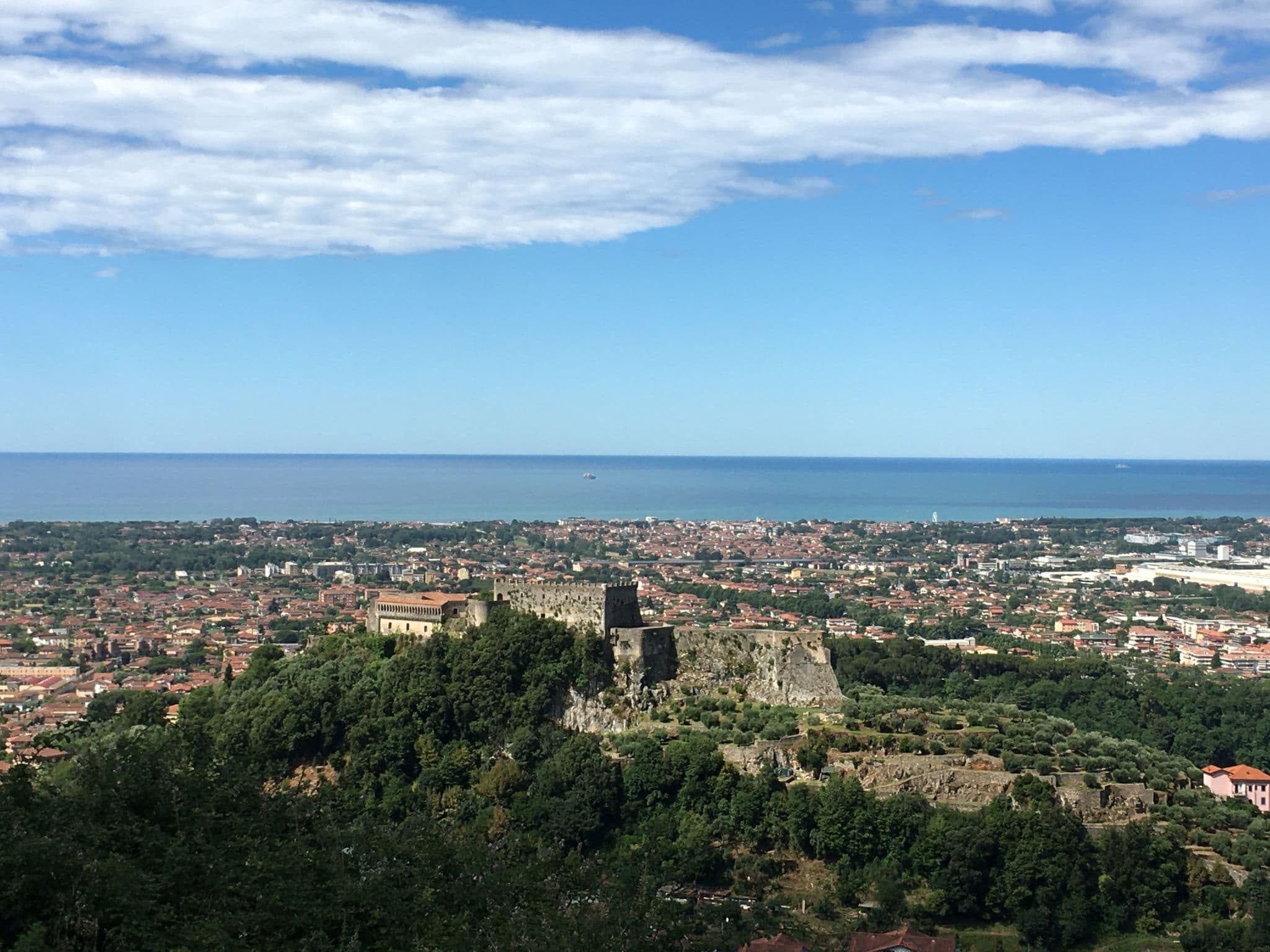 View